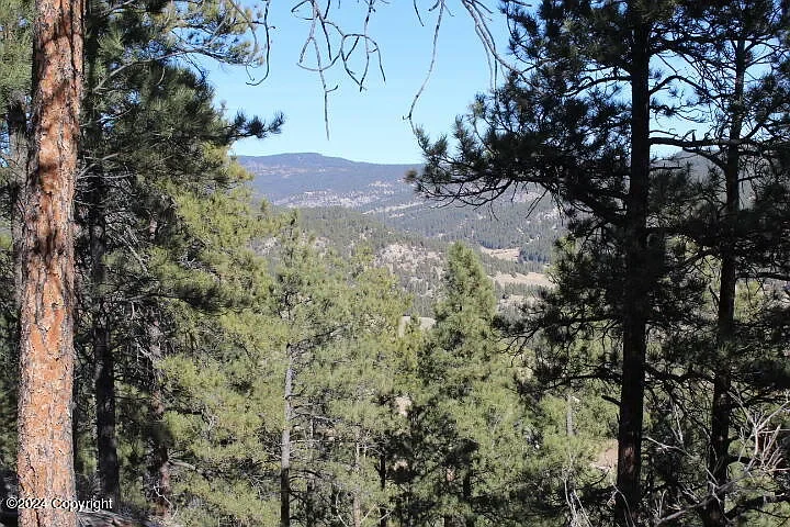 53 Pine Top Dr - Newcastle, WY