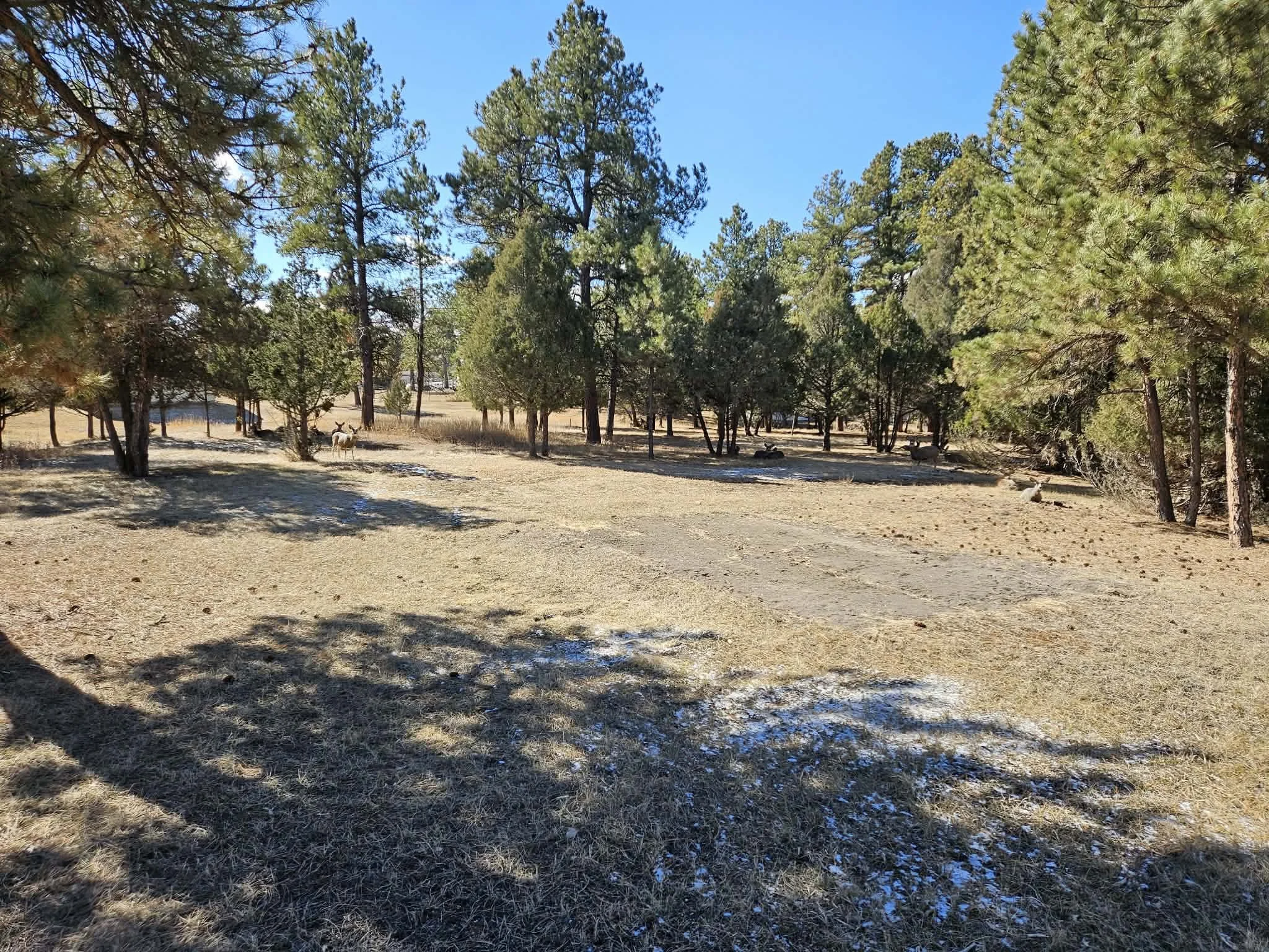 1116 Kellogg St - Upton, WY ~ PENDING