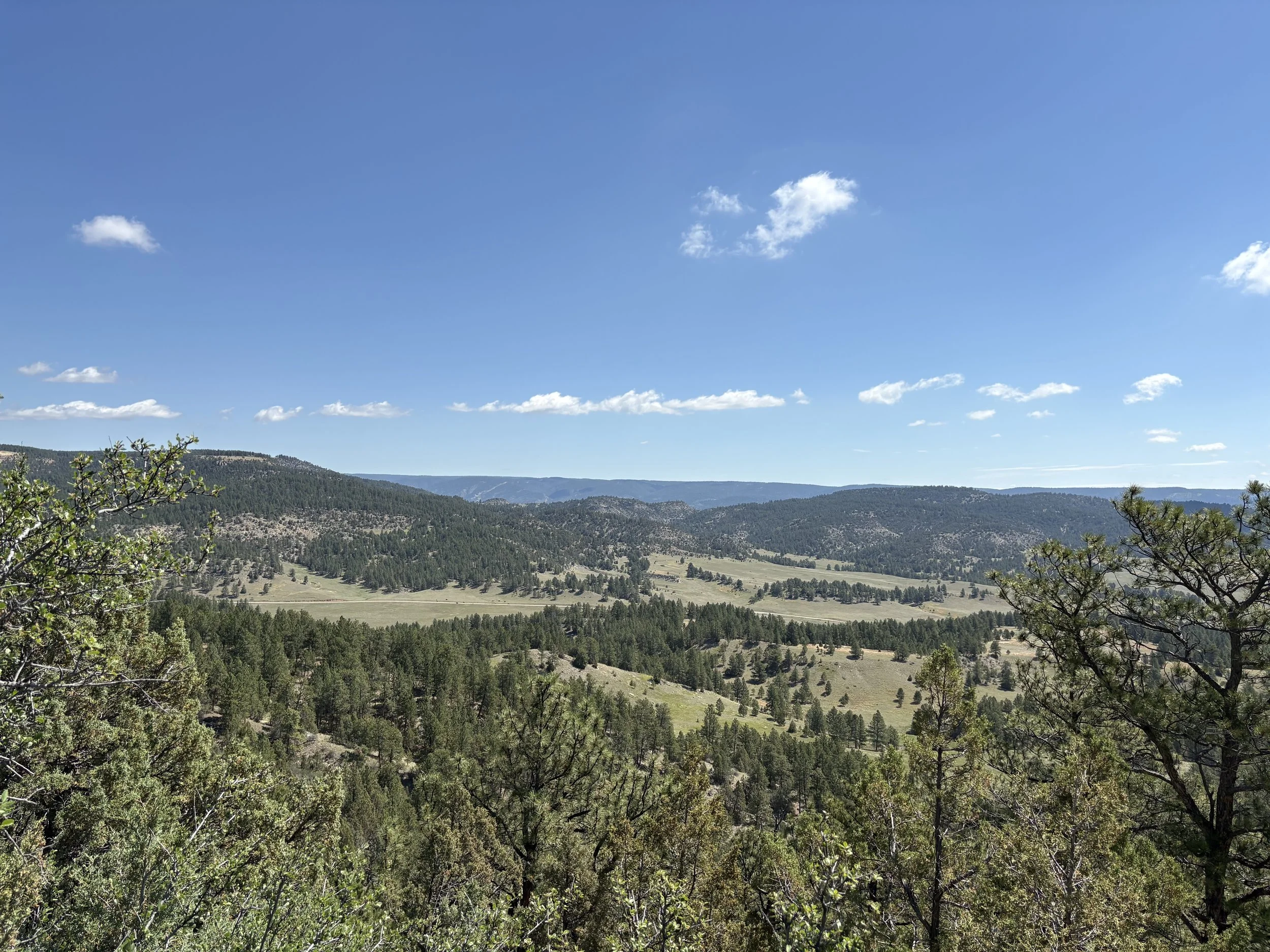 Homestead Rd - Newcastle, WY