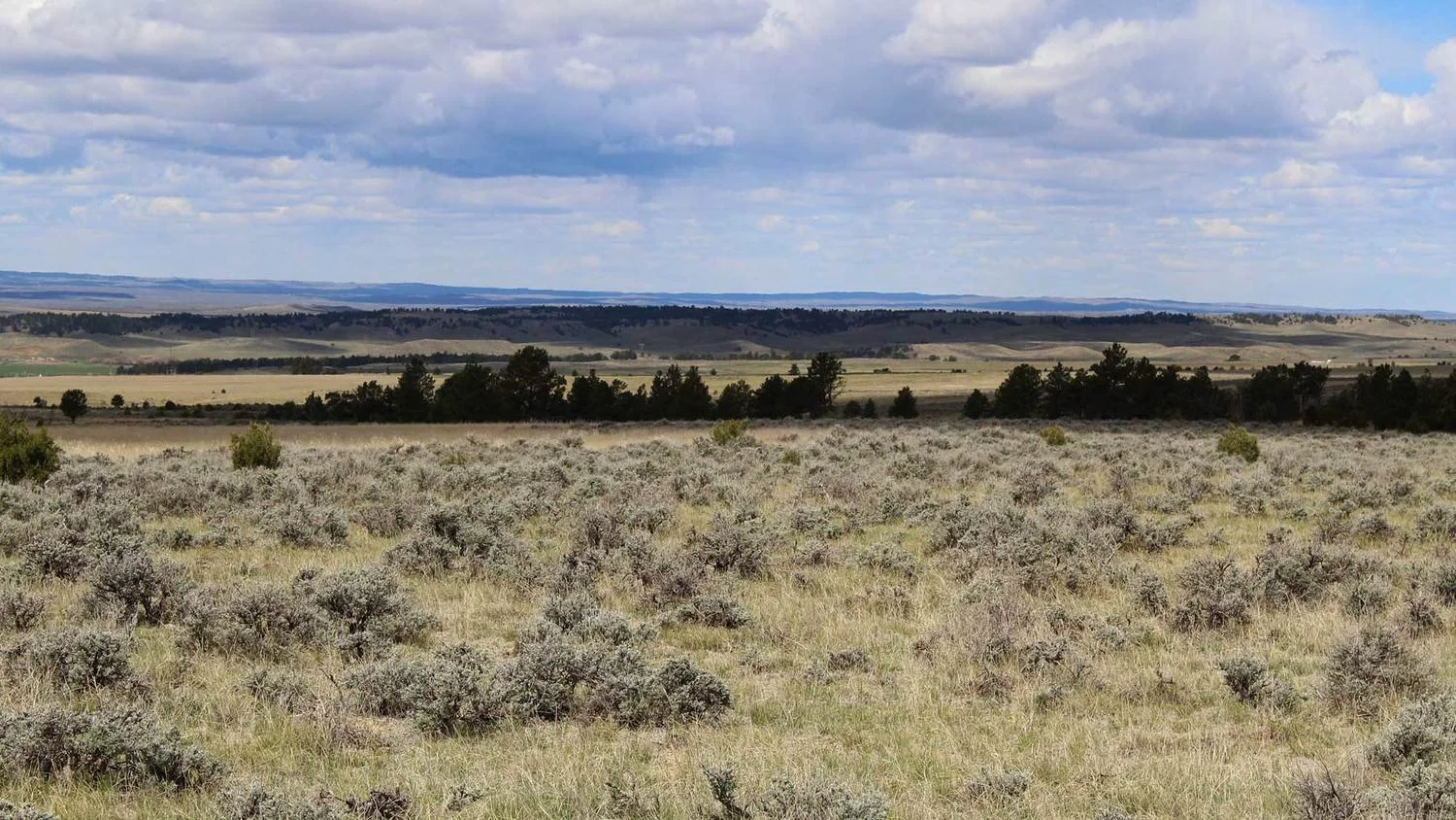 Oil Creek Rd - Weston County, WY
