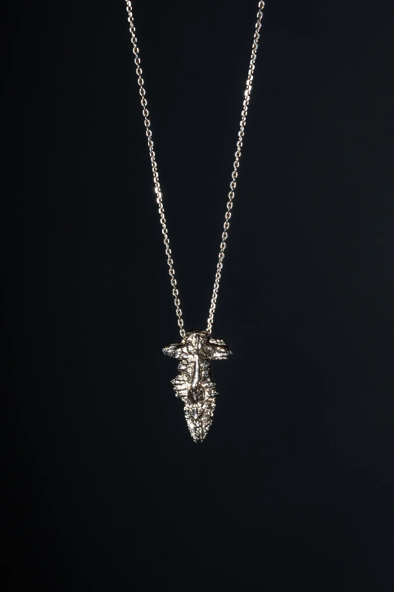 Silver-colored pendant necklace with a detailed leaf or feather shape on a thin silver chain, displayed against a black background.