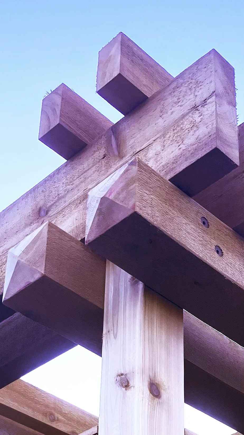 z. cover_abstract_pergola.jpg