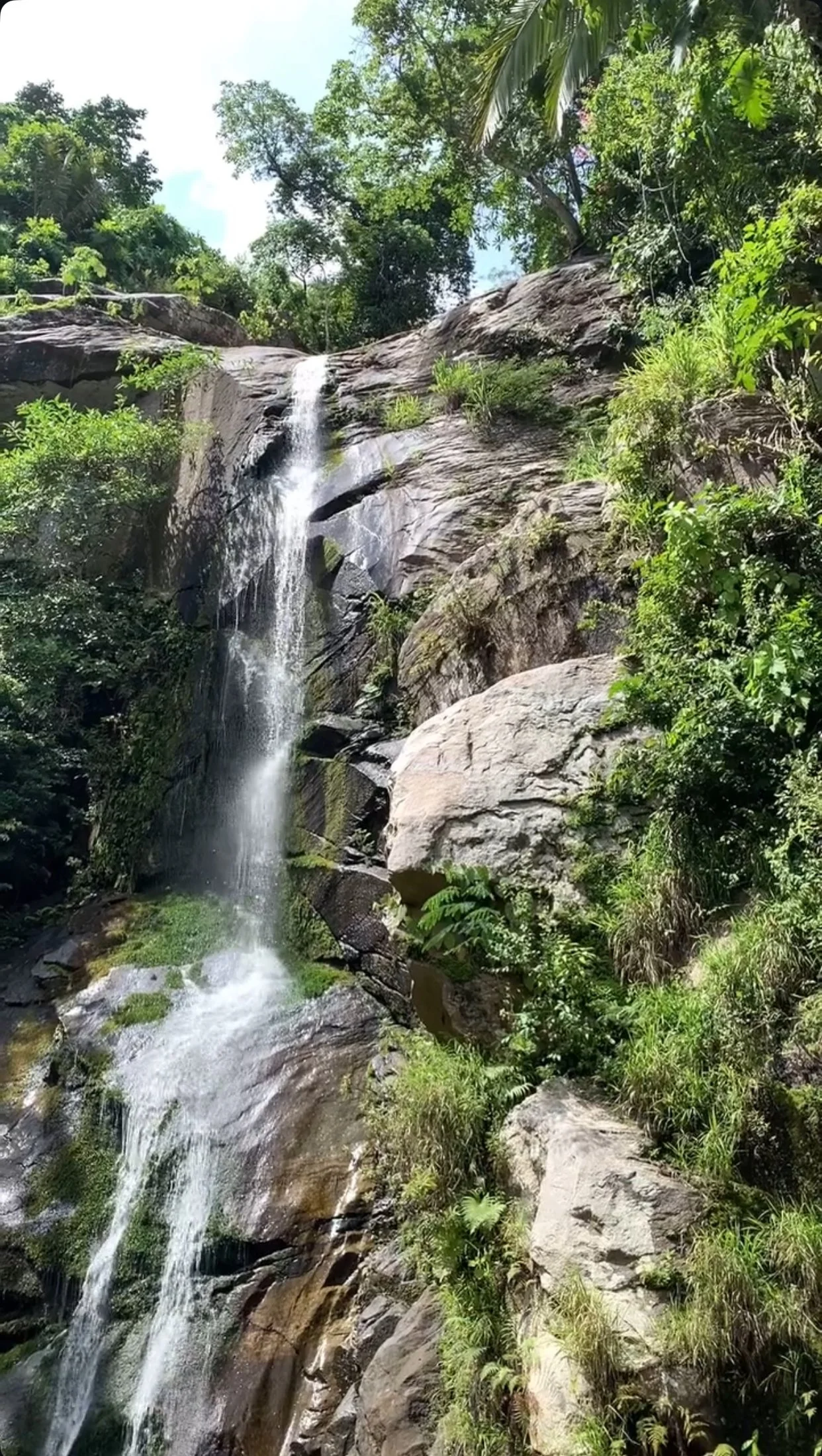 A tall, narrow waterfall flowing down a rocky cliff surrounded by lush green trees and bushes in a tropical setting.