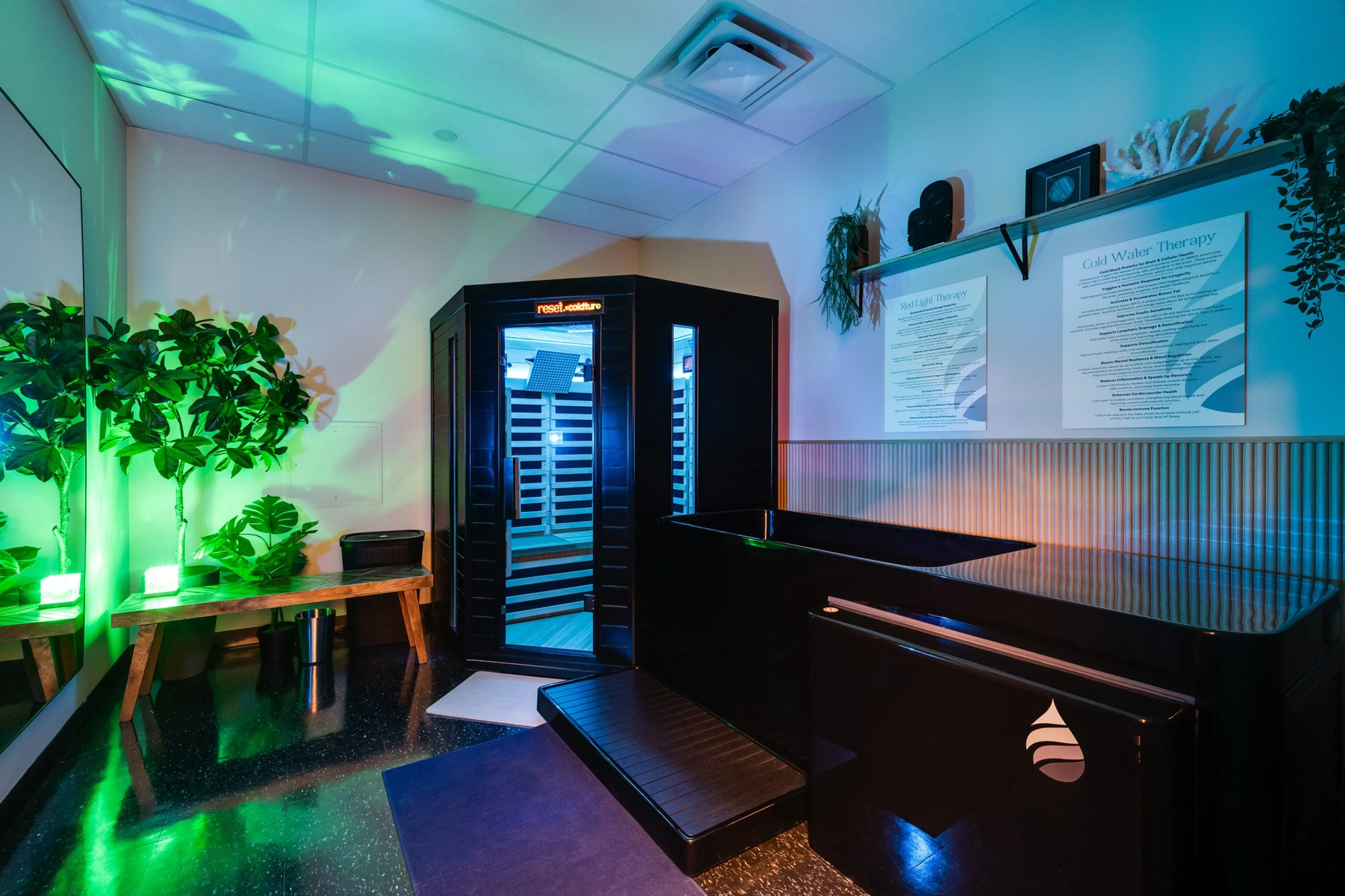 Interior of a spa room with a sauna, a tub, green plants, and informational posters on the wall.