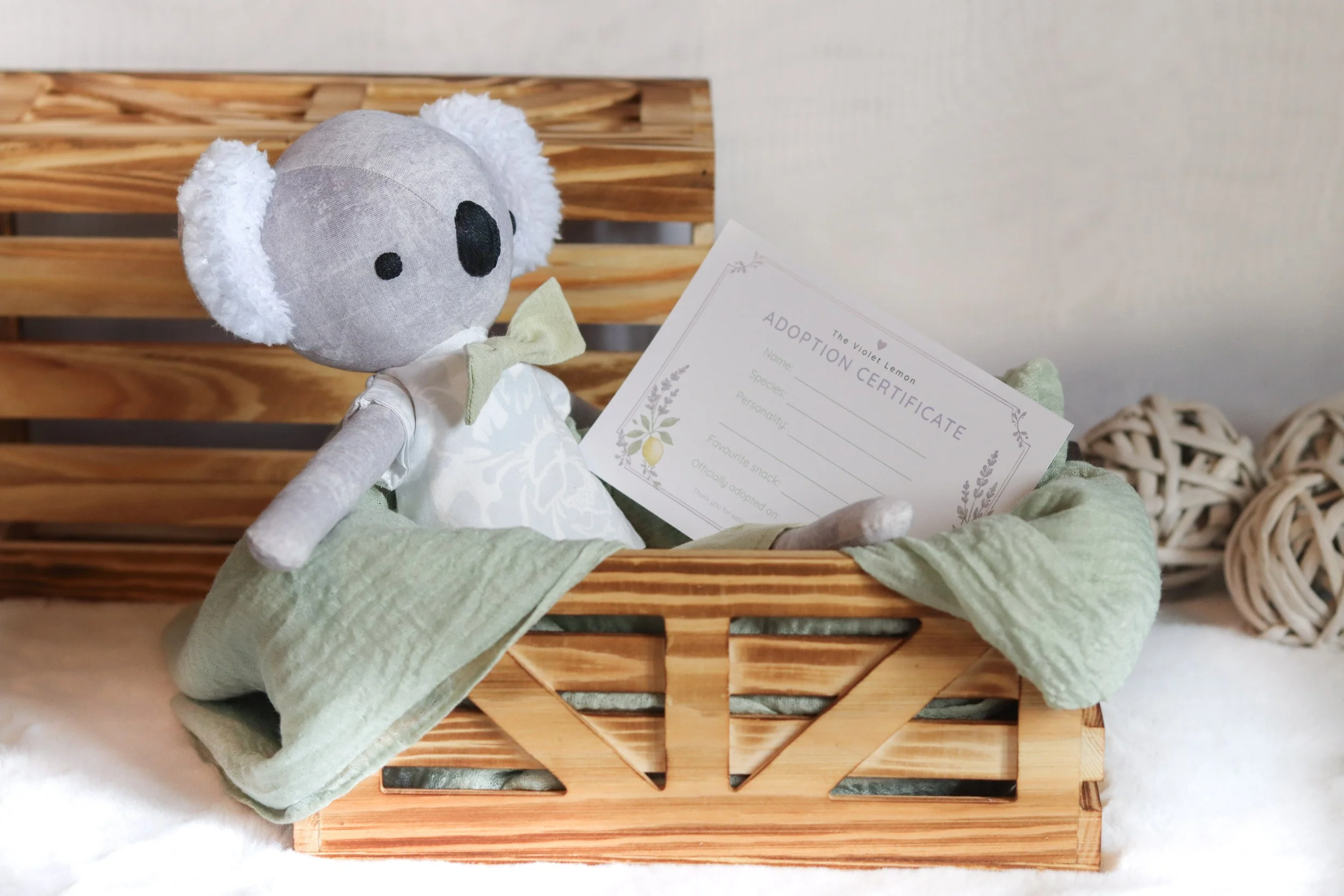 Curious Koala - Tee and Bow Tie