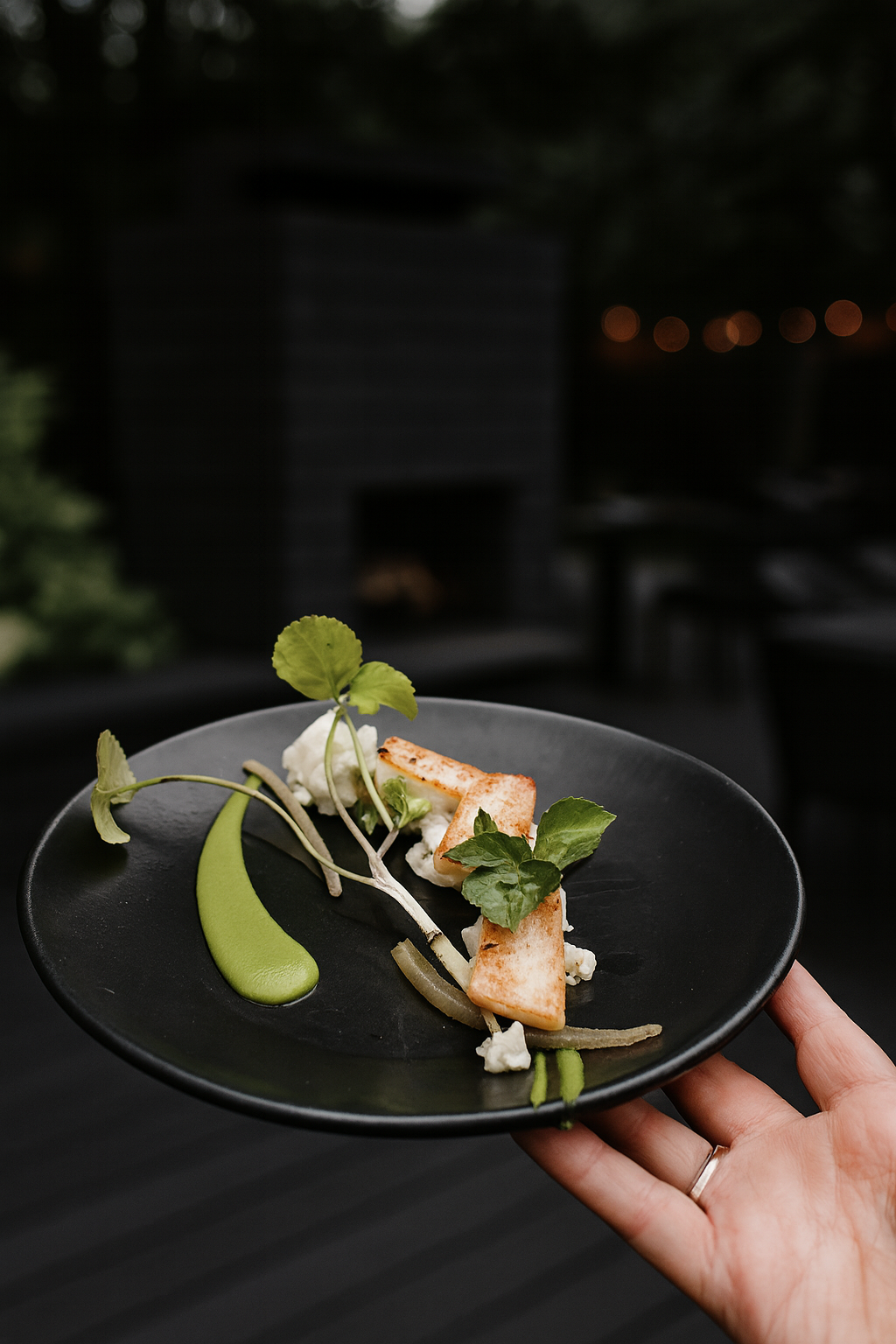 scallop alexander root.png