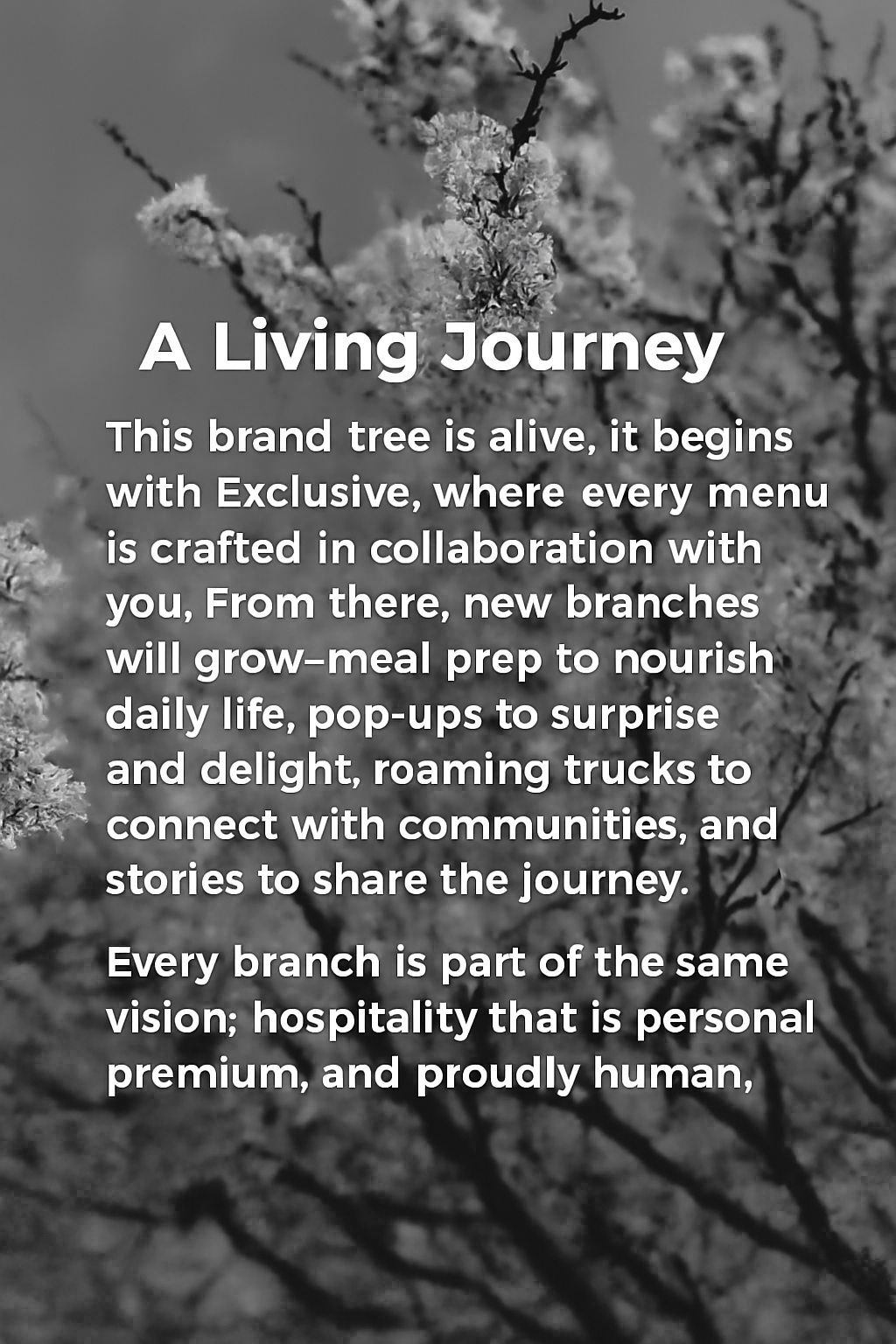 Image of blossoms with brand explanation overlay, symbolising JustInc.’s creative hospitality and private chef services. A refined visual identity crafted to showcase bespoke experiences and regional presence across South England.
