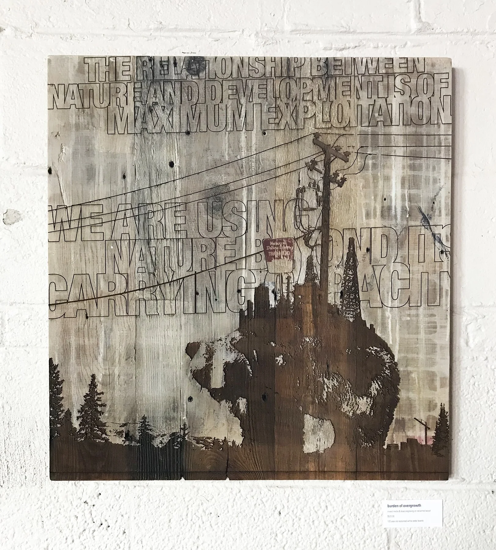 Burden of Overgrowth - SOLD