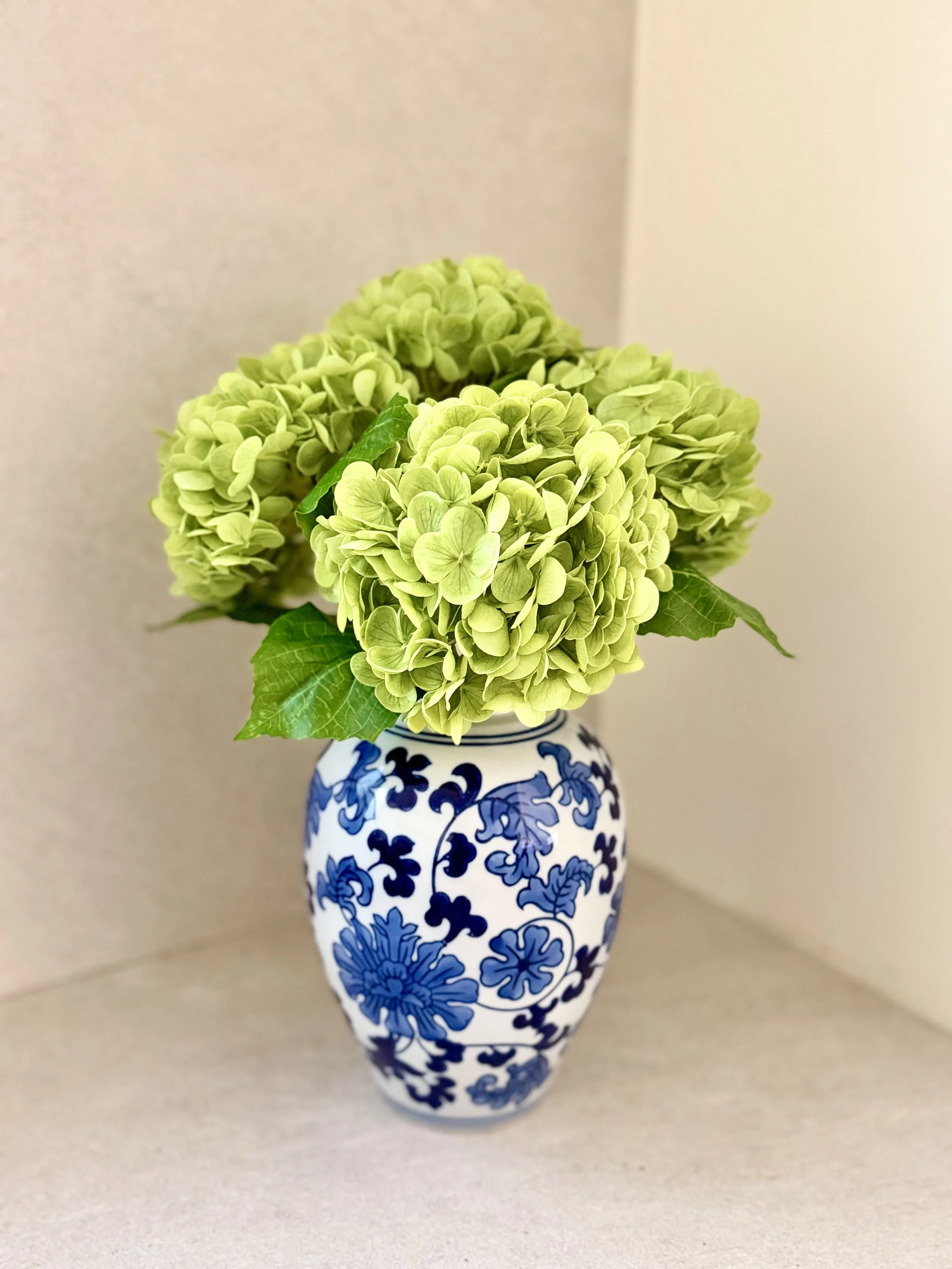Lime Green Hydrangea