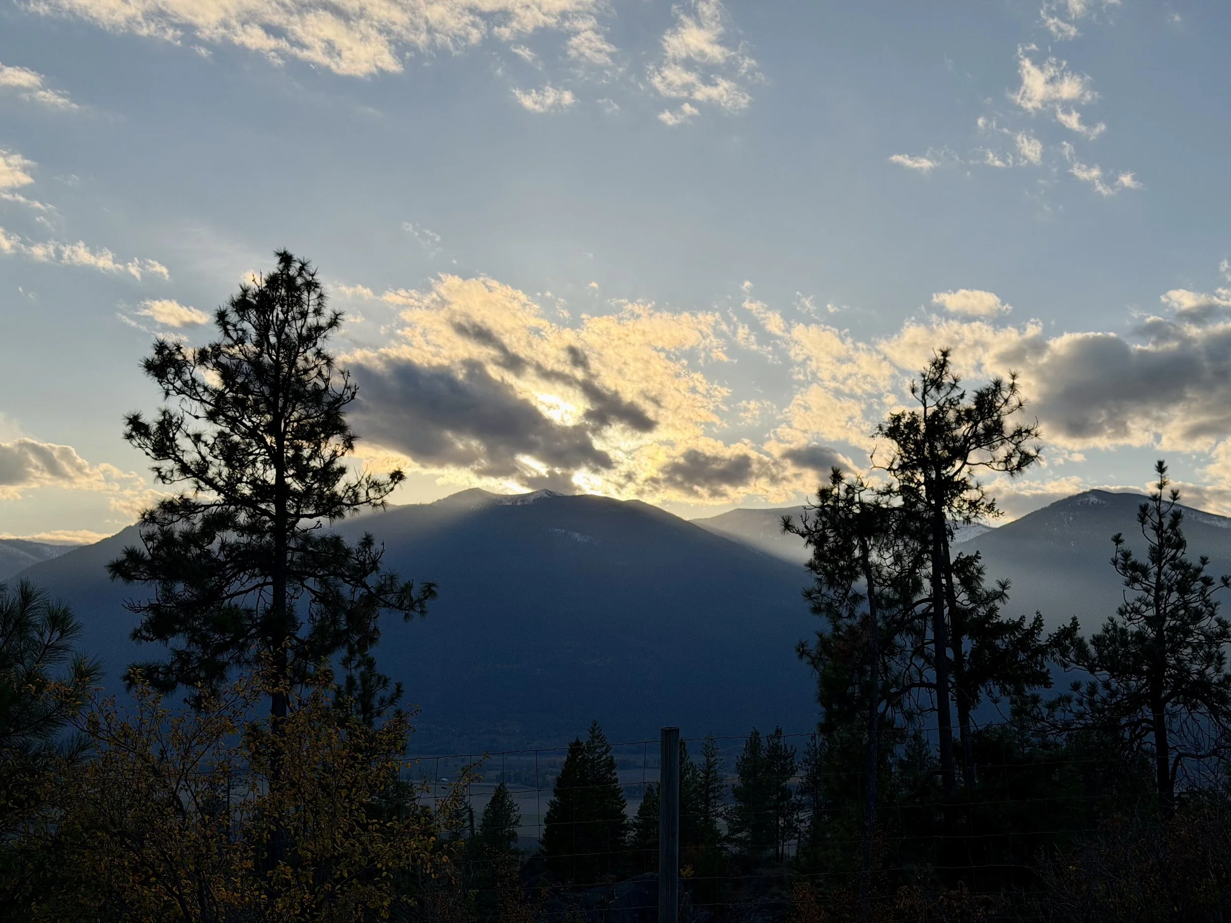 Hormone Testing and Therapy