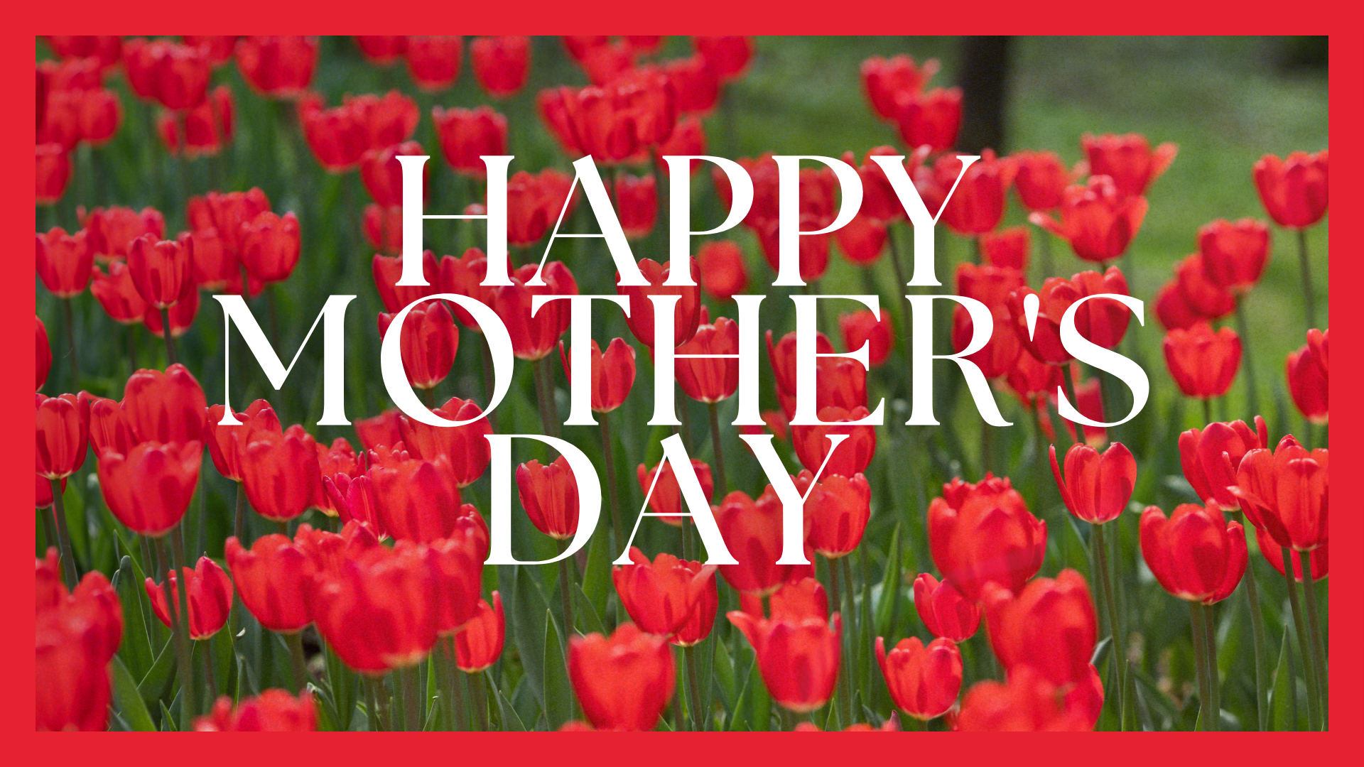 Mother's Day (Red)