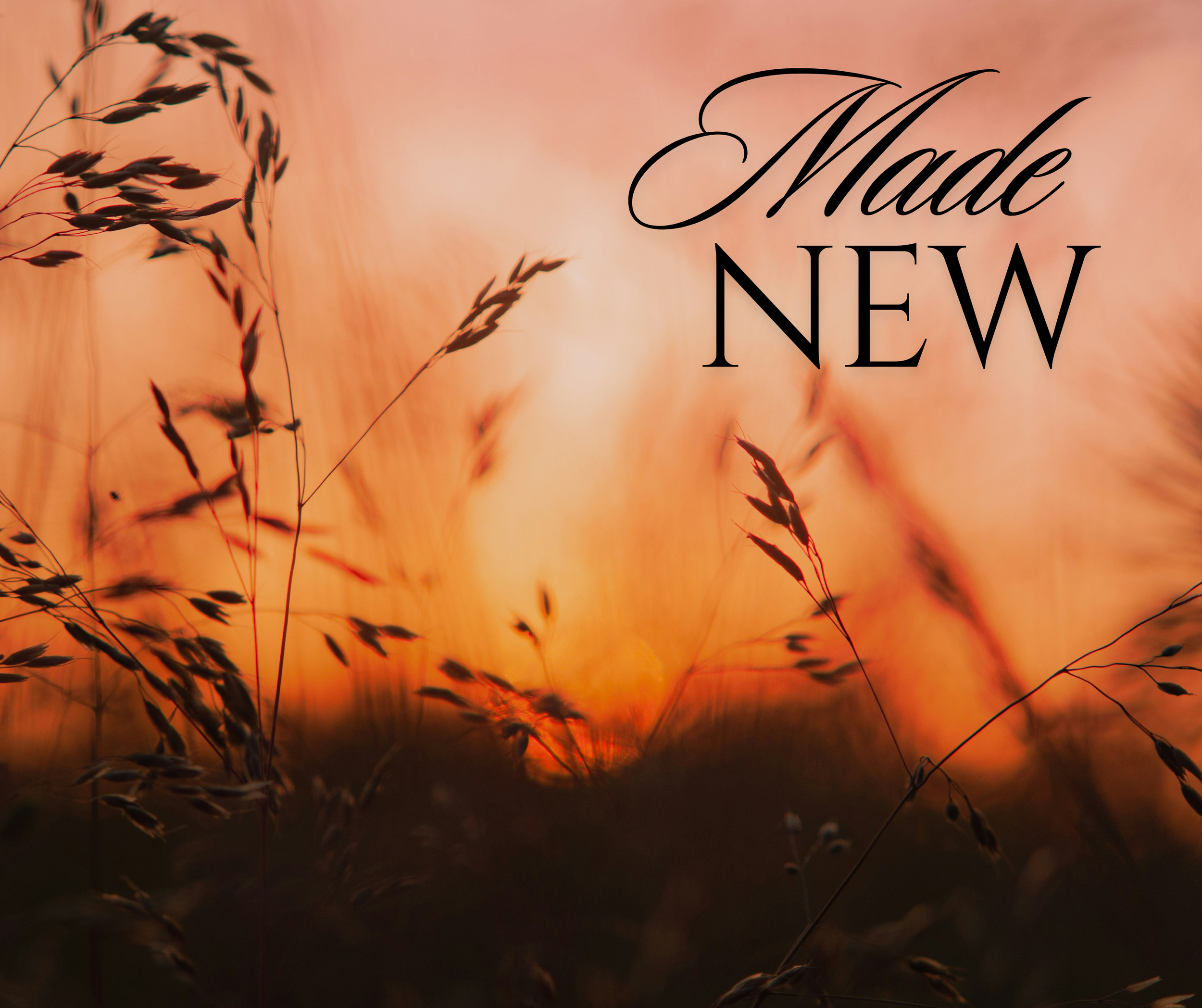 2 Corinthians 5 17.png