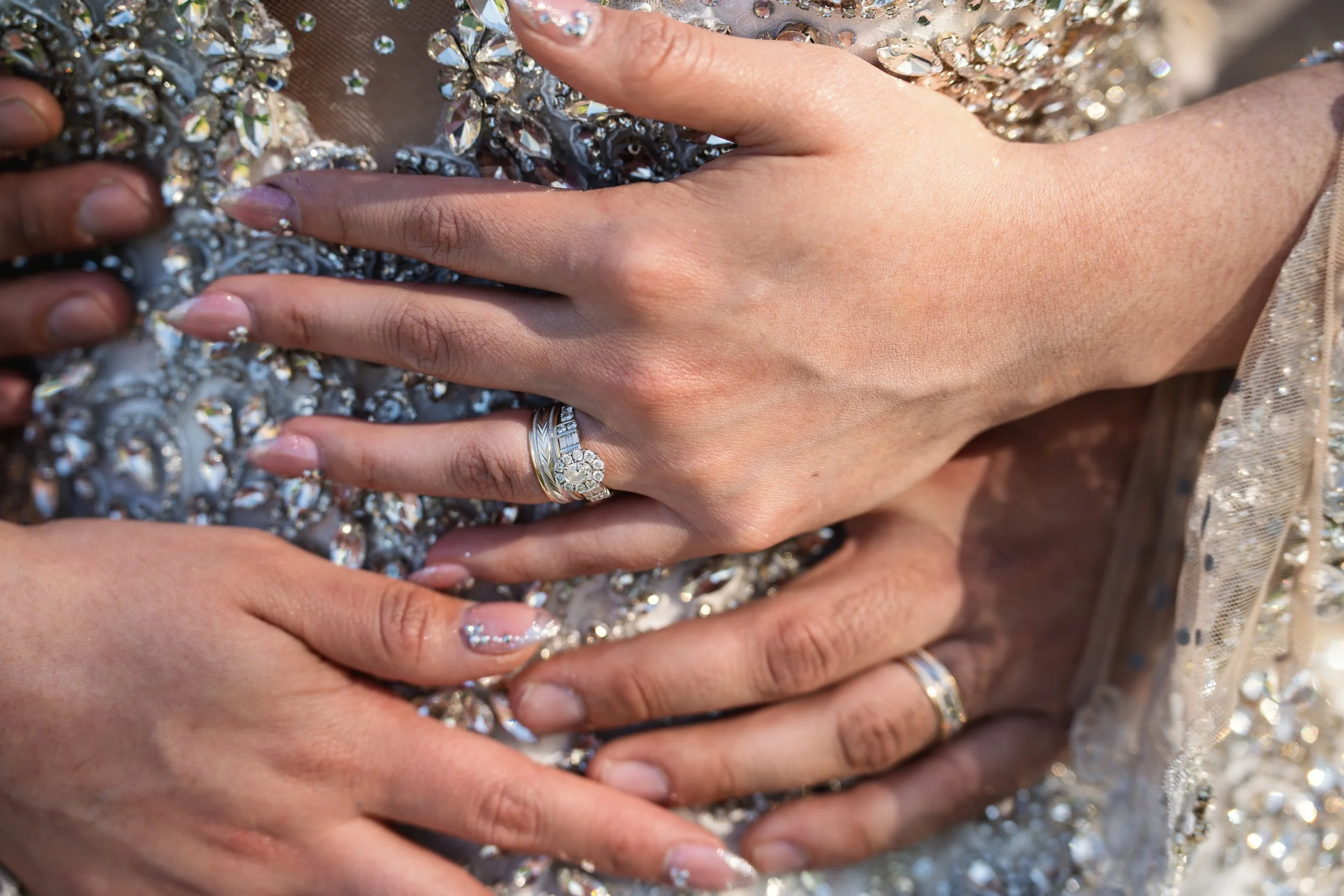 The Signature Collection