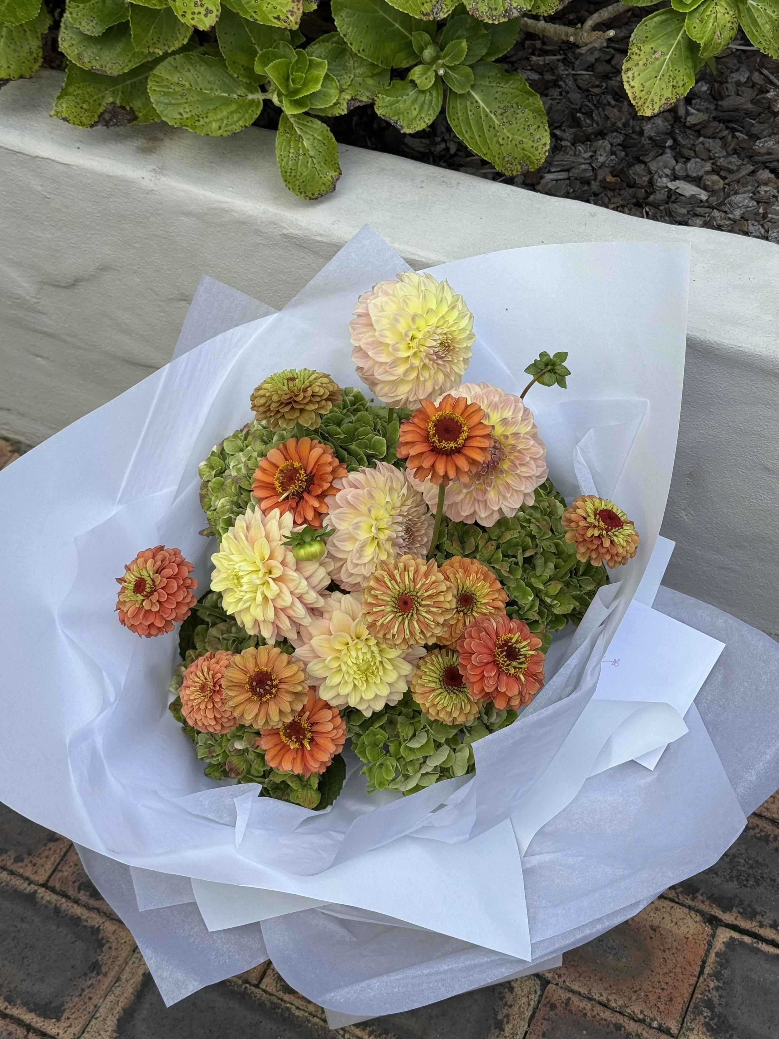 Bouquet of peach, yellow, and orange zinnias and dahlias among green hydrangea wrapped in white paper, resting on a brick sidewalk