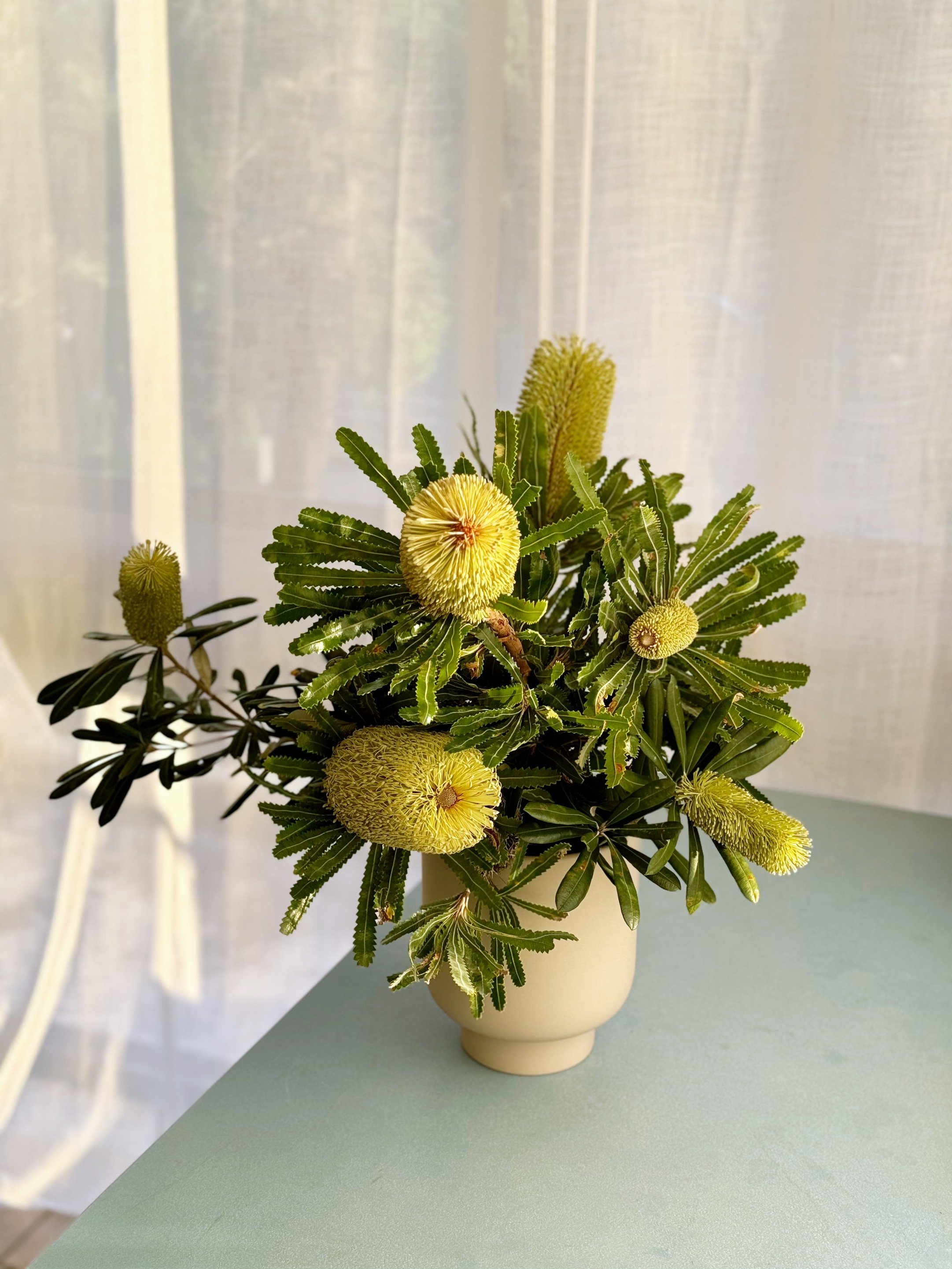 An en masse floral design of banksia stems