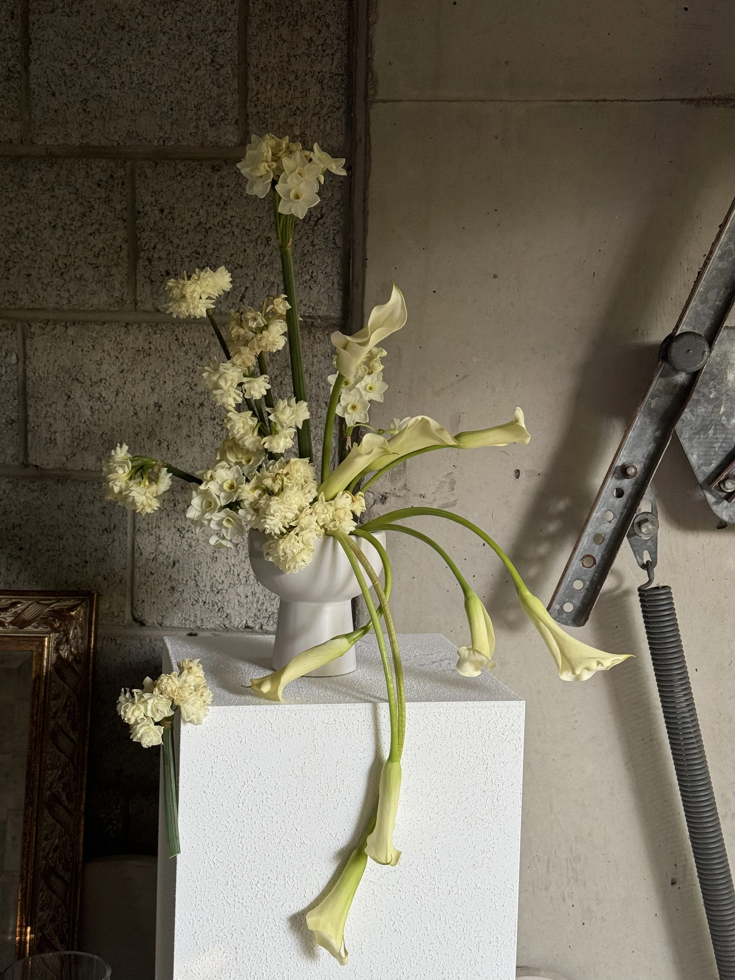 White ceramic footed vase with white calla lilies sprawling and curling around vase