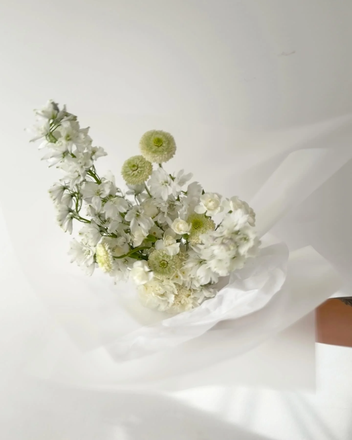 A bouquet of white flowers wrapped in white paper.