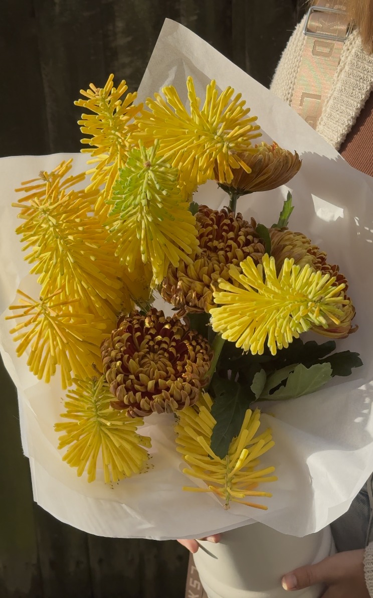 A bouquet of yellow pokers and brown chrysanthemums wrapped in white paper.