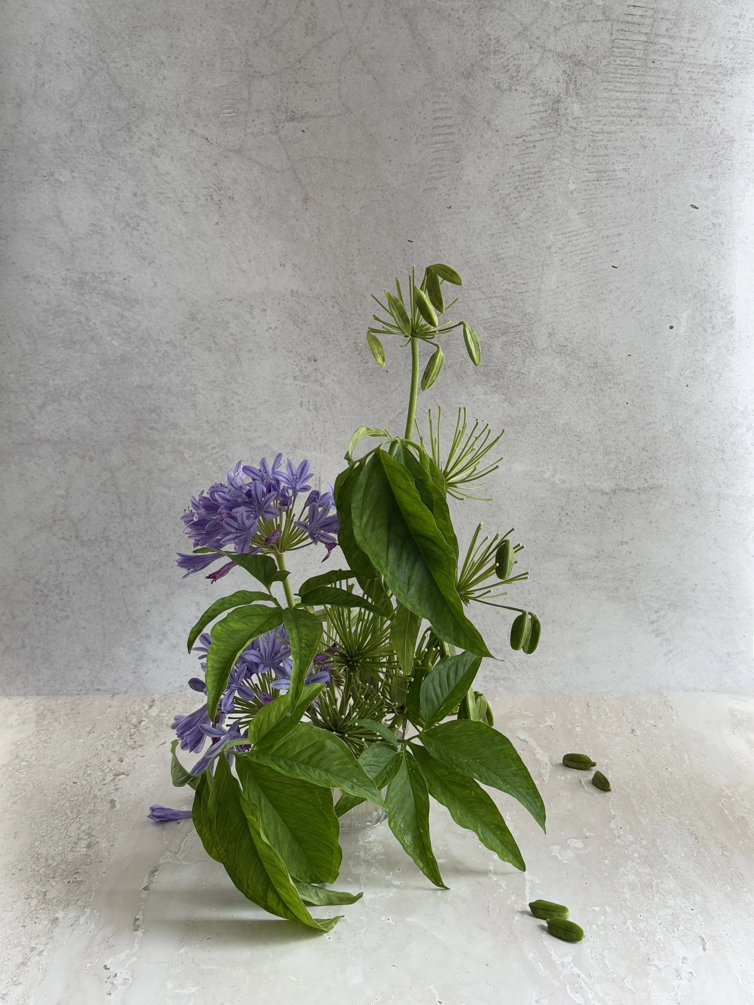 A sculptural floral arrangement with purple flowers agapanthus and green leaves in a glass vase, on a light-coloured surface with a grey textured wall background.