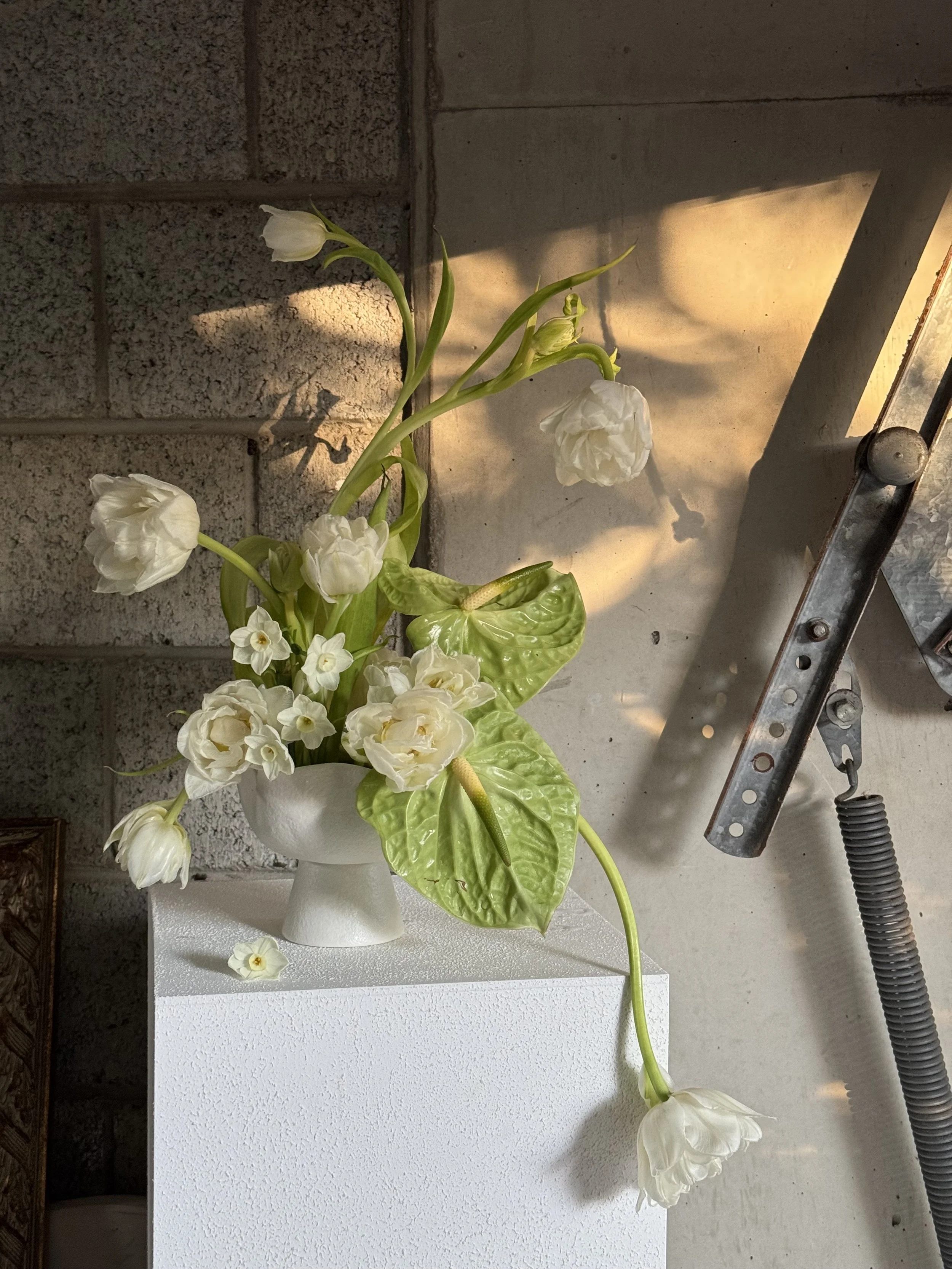 White flower arrangement with tulips, white mini daffodils, green anthuriums, in a white textured vase, placed on a white plinth with a cement wall background, illuminated by warm sunlight.