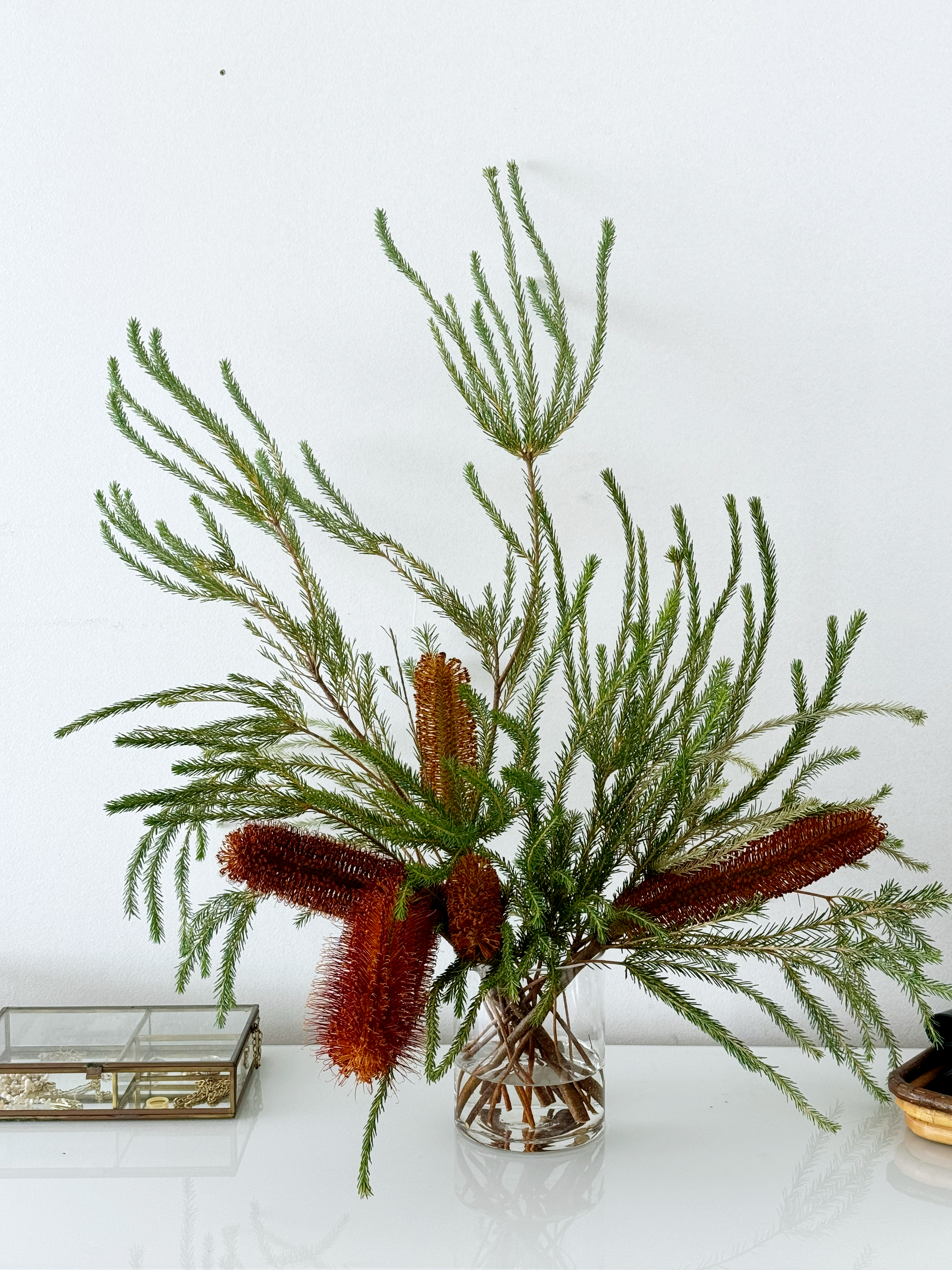 long brown banksia branches arranged in a clear glass vase set in a clothing store