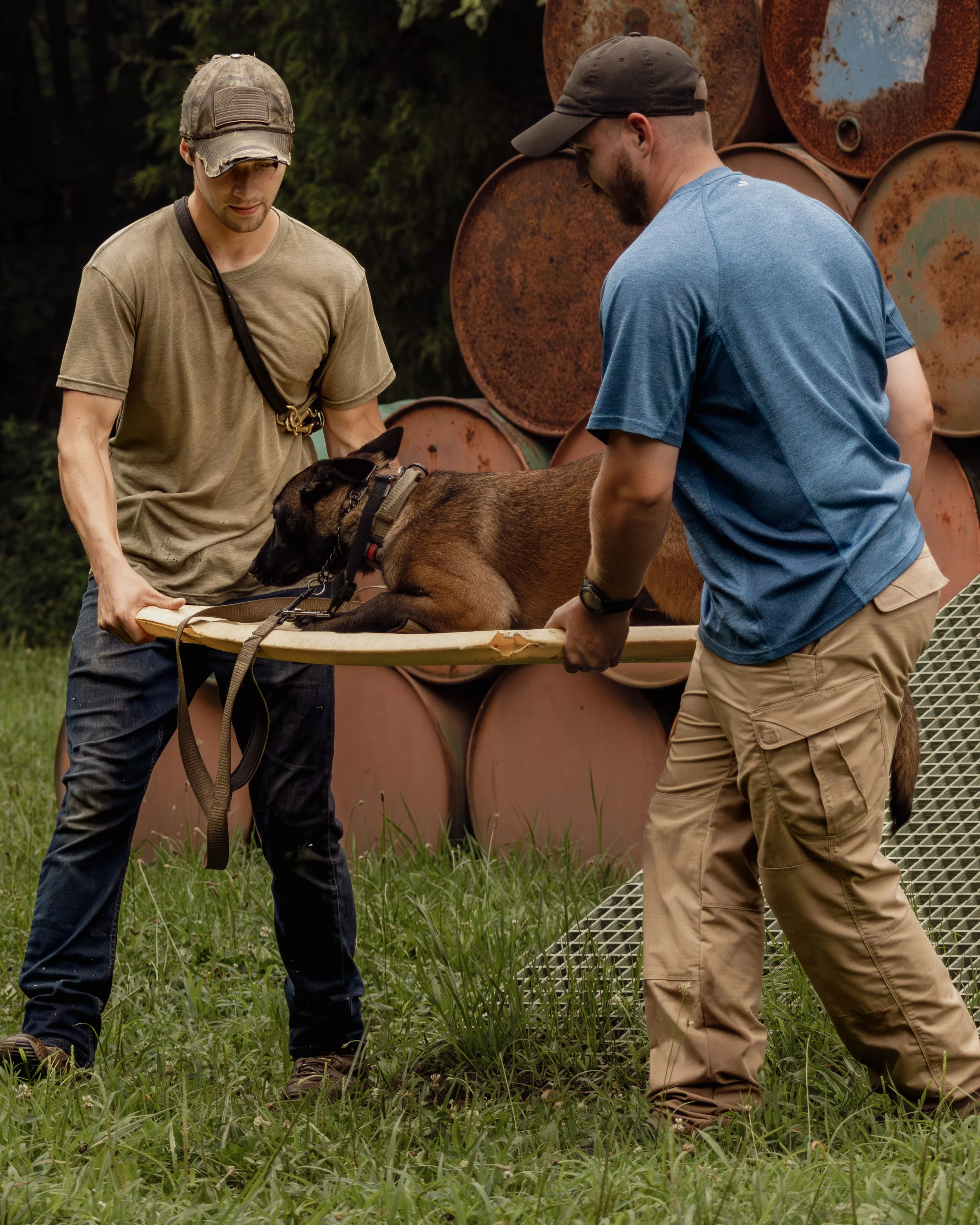 Two men are outdoors, lifting a brown and black dog onto a stretcher, with a background of rusted barrels and green grass.