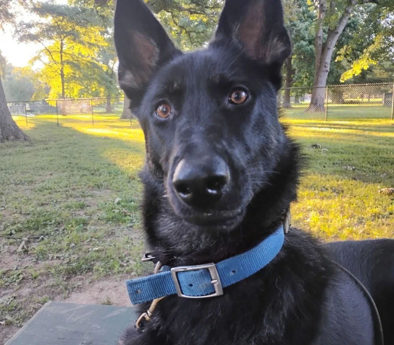sadie-2.jpg