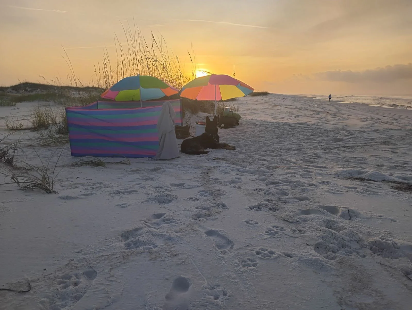 IMG_20260805_194255.jpg