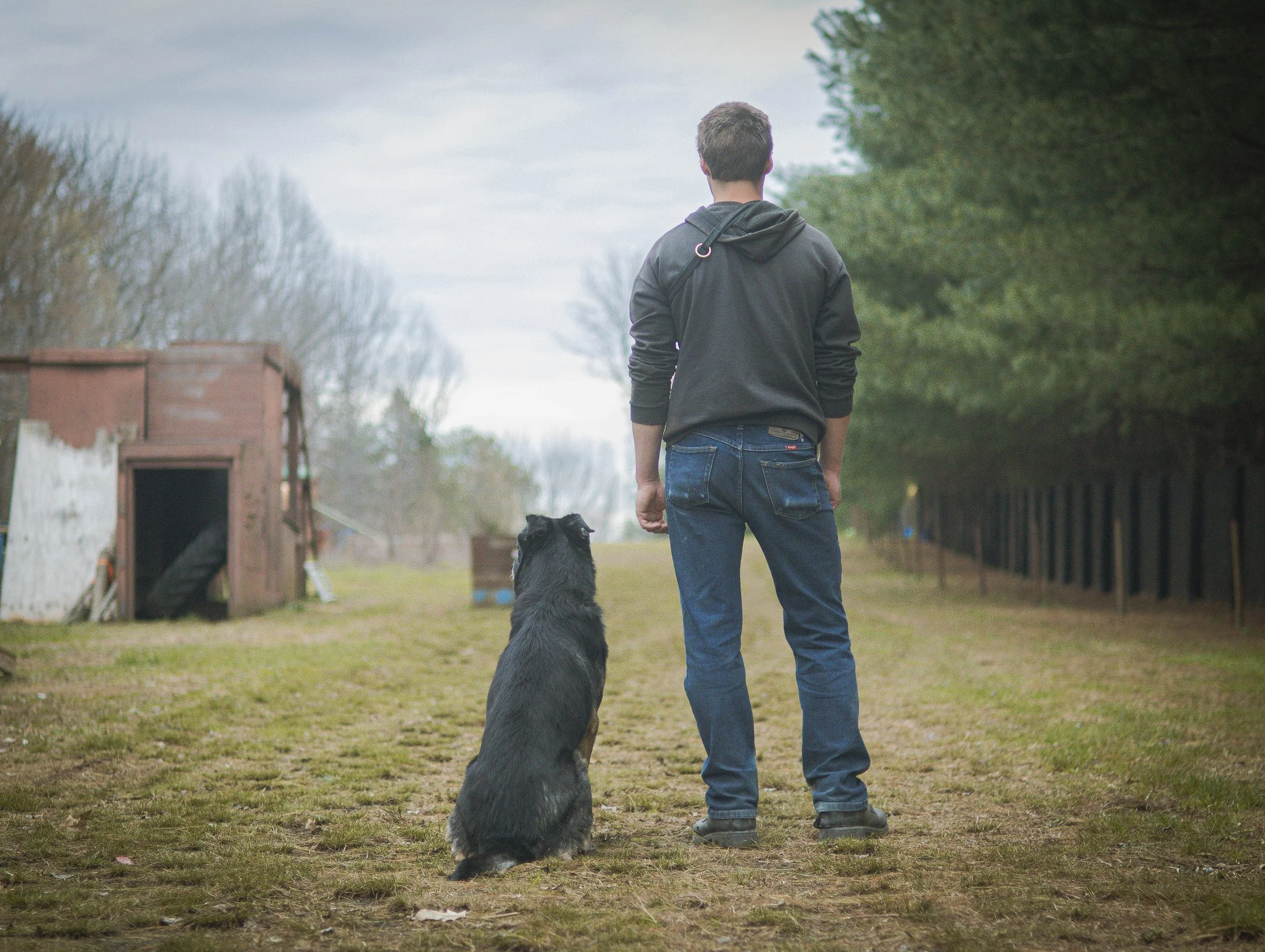 A man walking on a dirt path with a dog sitting beside him, outdoors on a cloudy day with trees lining the path.