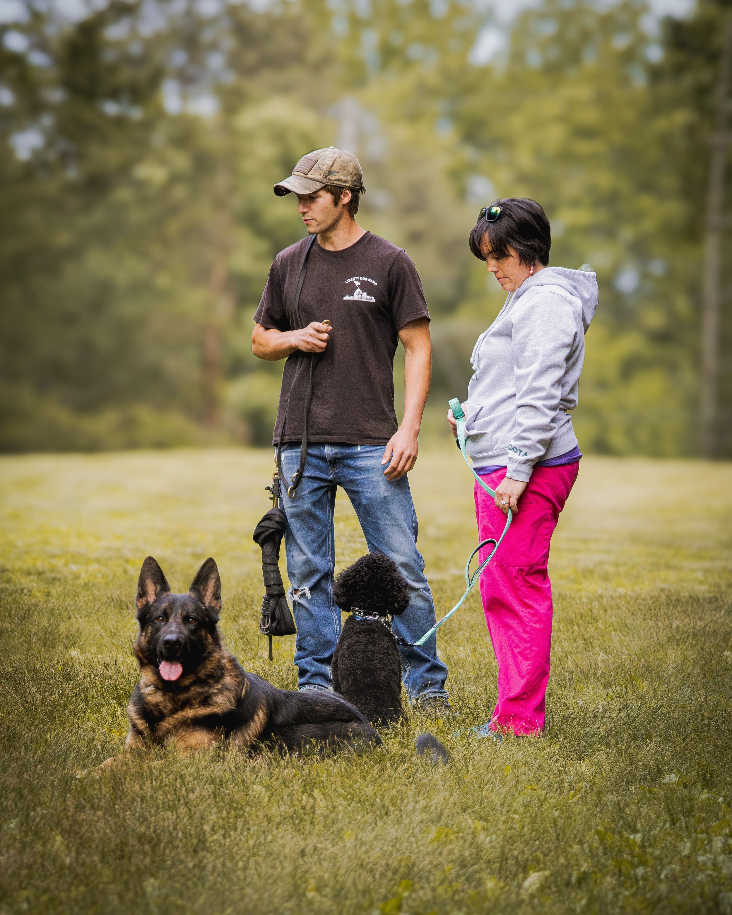 A man and woman with two dogs in a park, one dog sitting and the other lying down near them.