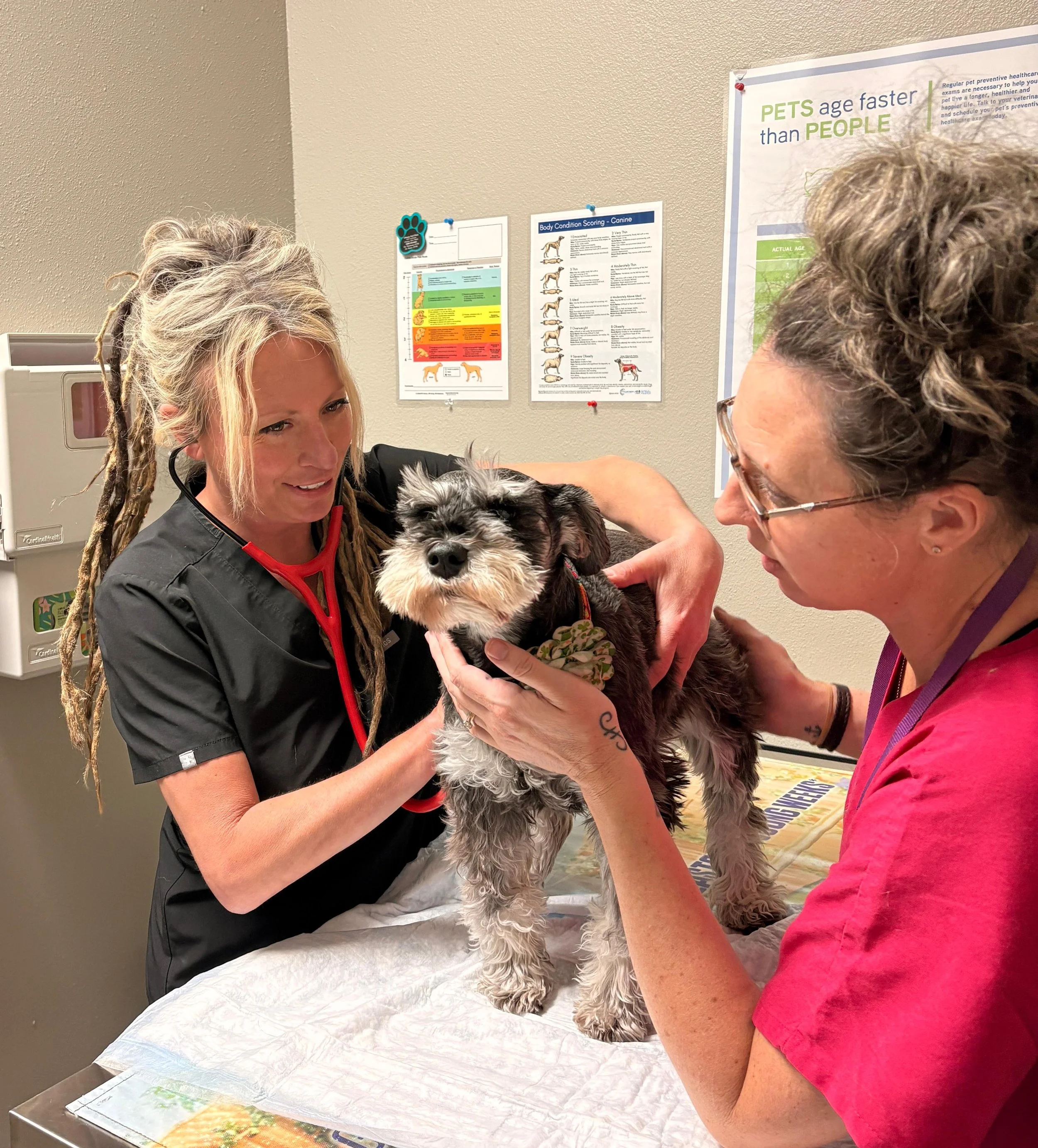 Annual Preventive Care Exams Matter More Than You Think