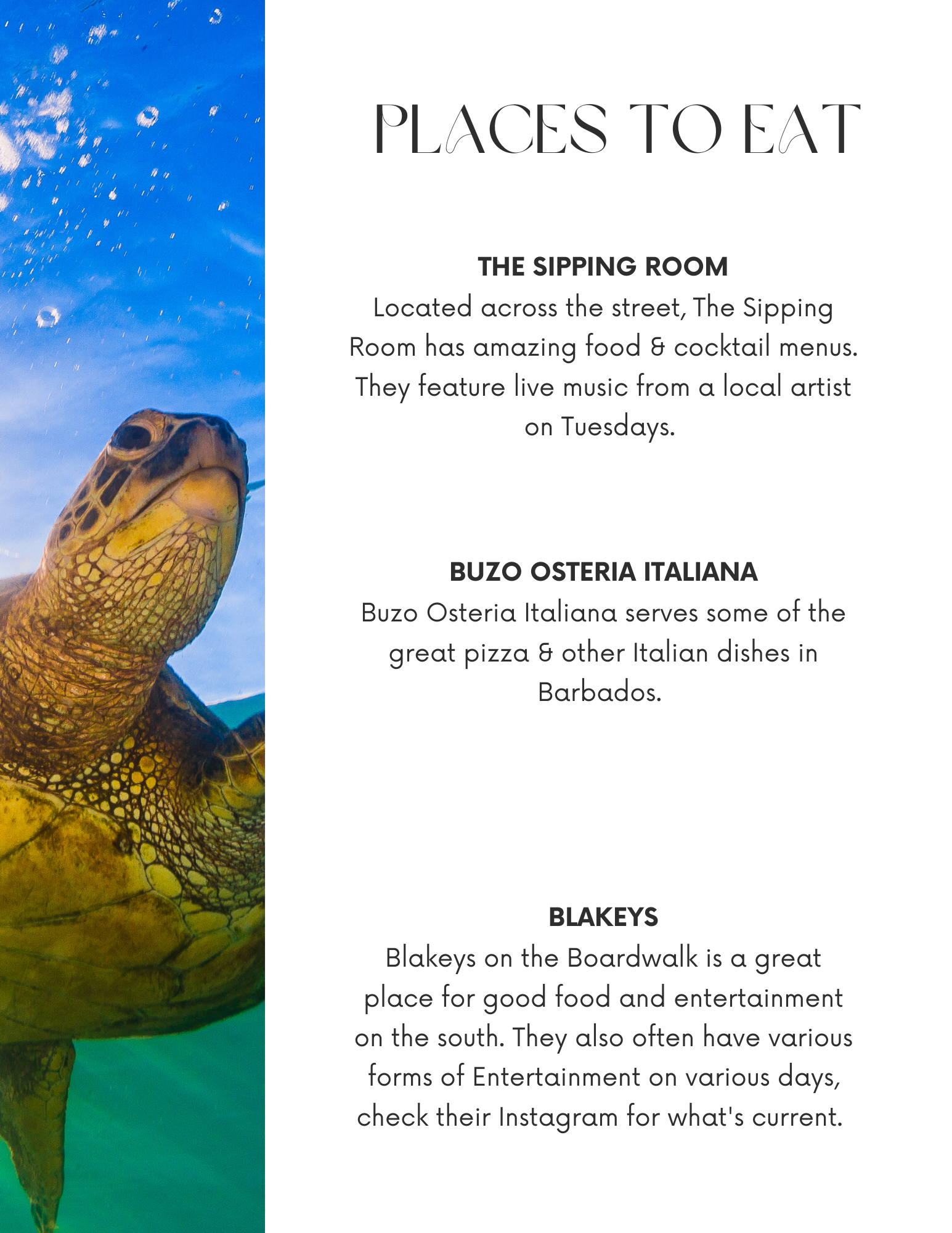A menu titled 'Places to Eat' with sections for The Sipping Room, Buzo Osteria Italiana, and Blakeys, over a background of a turtle underwater with bubbles.