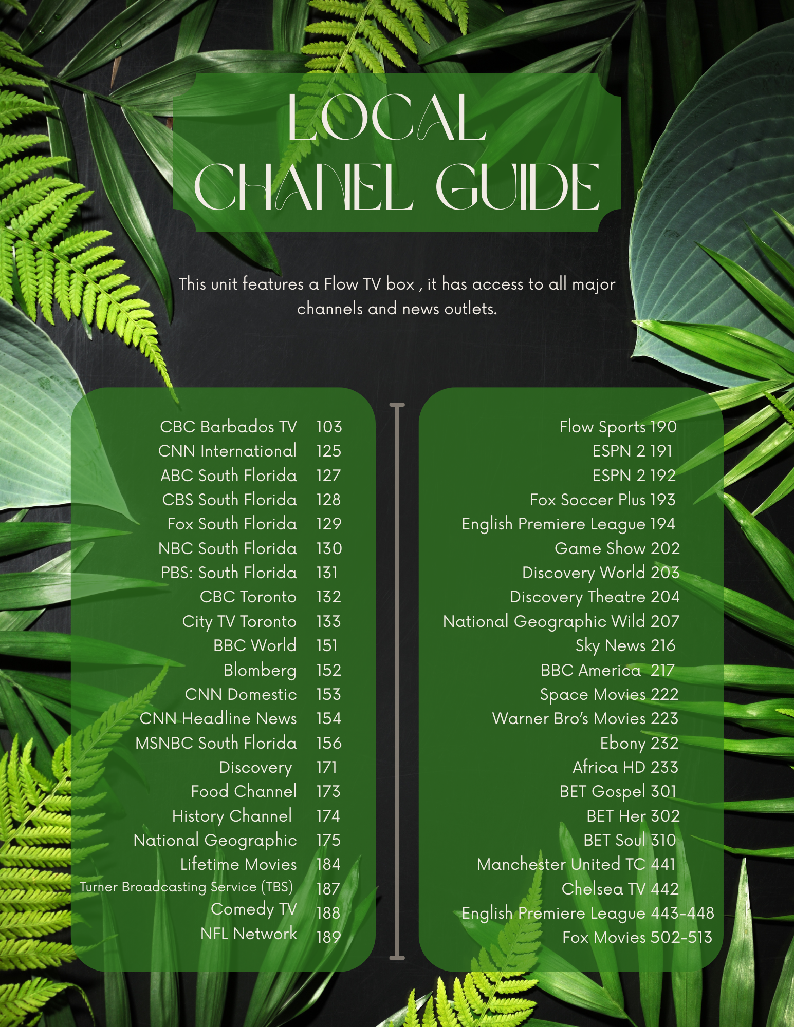 A TV channel guide with a green leafy jungle background, listing major channels and news outlets in two columns.