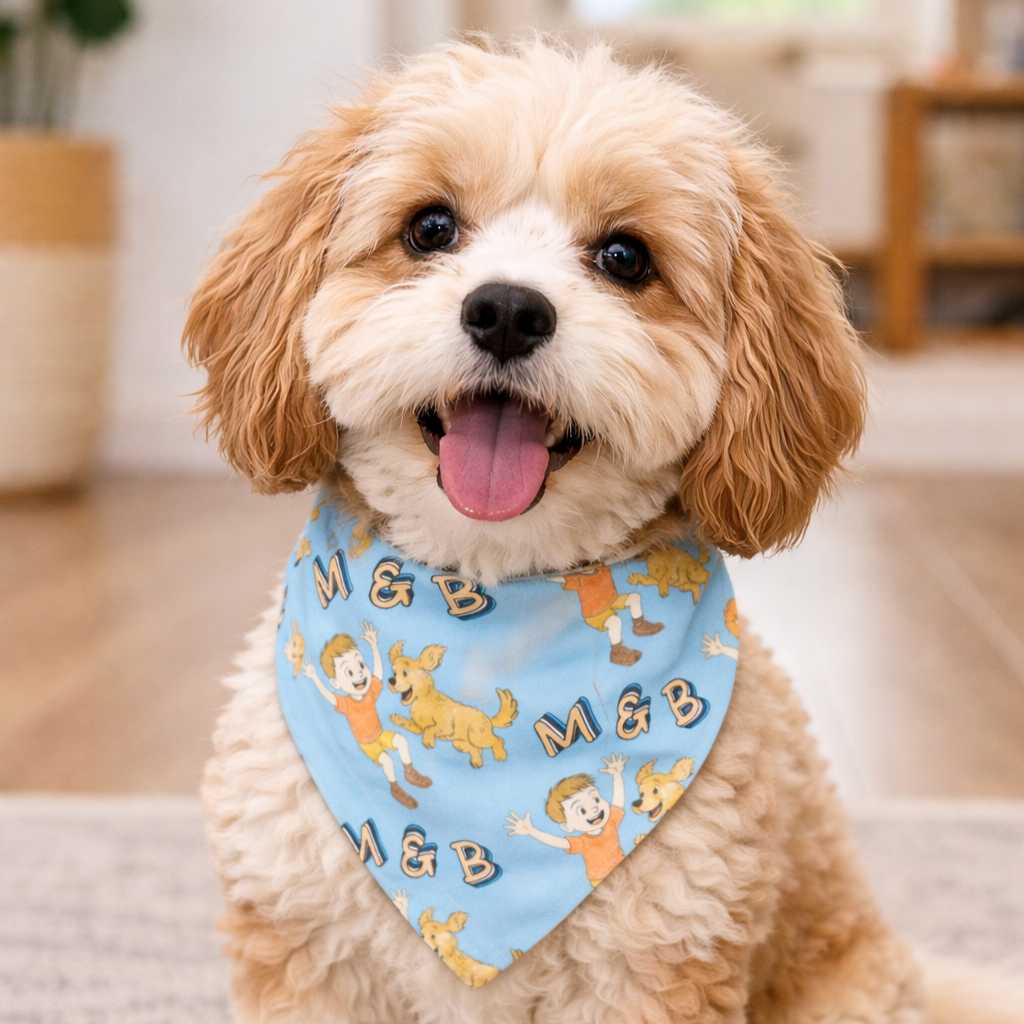 Happy+Cavapoo+with+cartoon+bandana.png