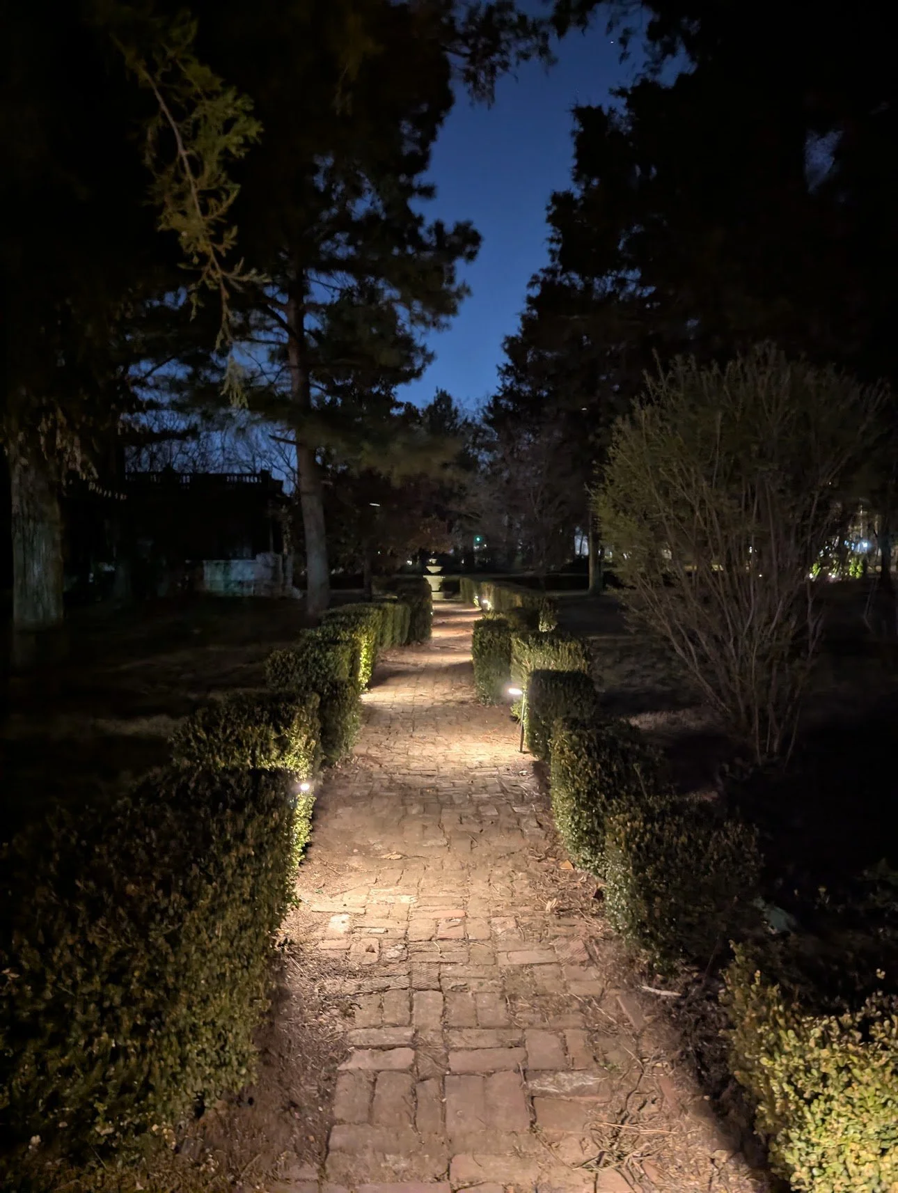 GardenPath.jpg