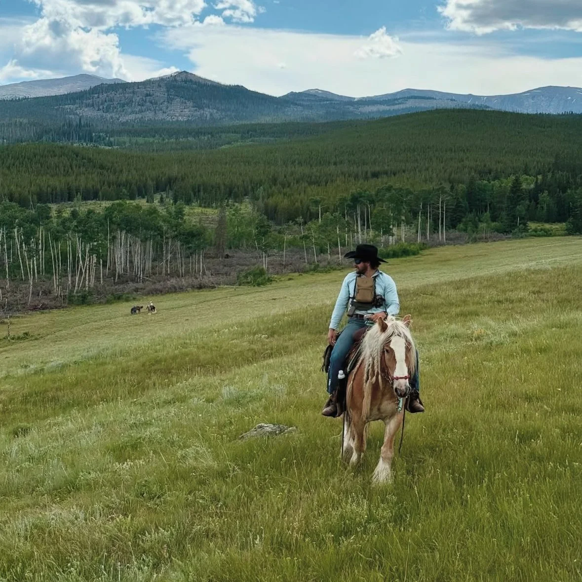 A person riding a horse in a grassy field with mountains and trees in the background on a partly cloudy day.