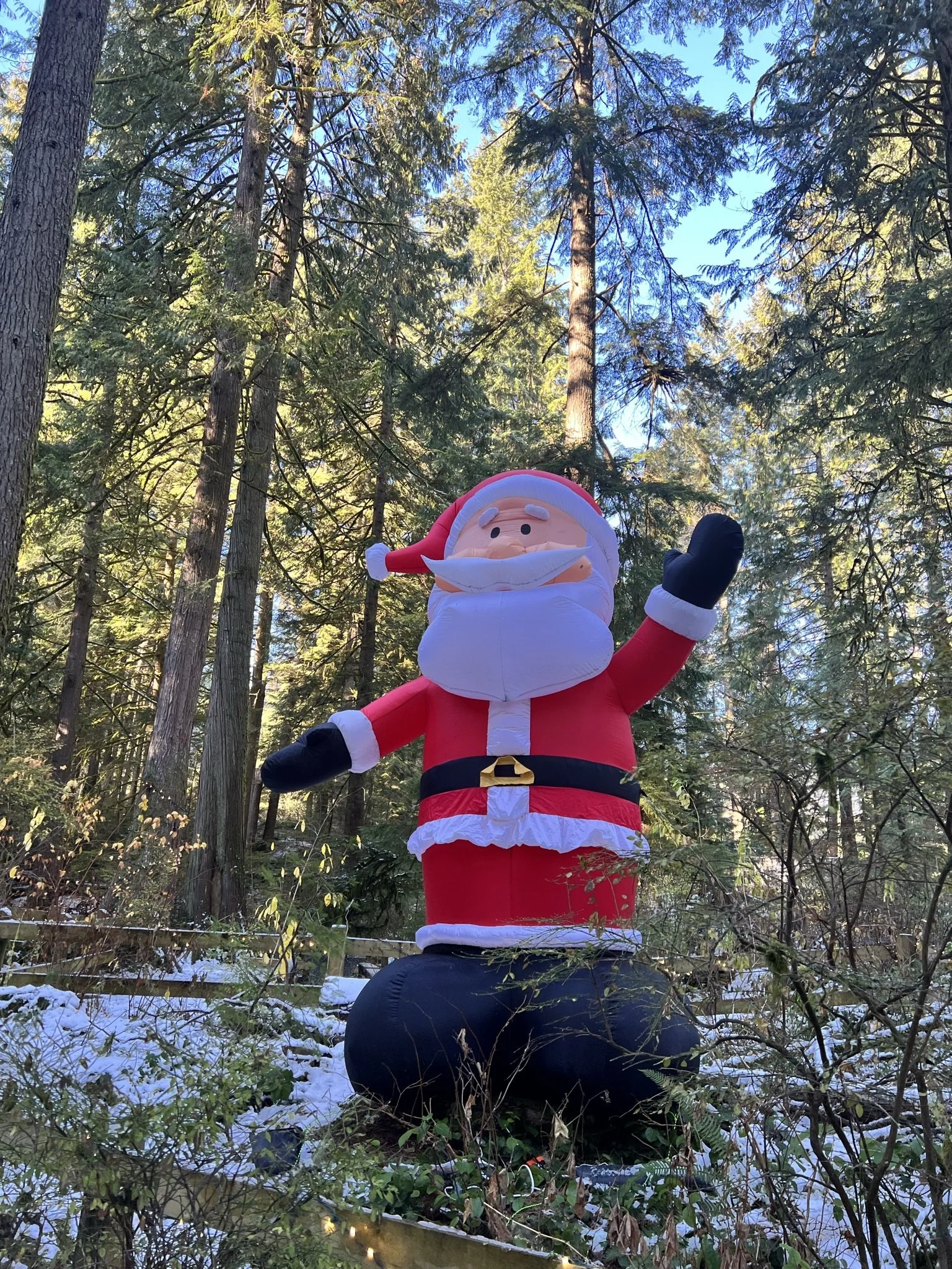 Santa in the woods.JPEG