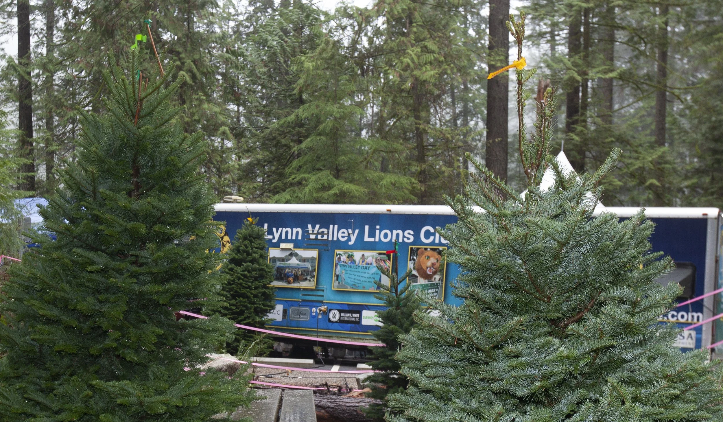 Lions trailer amongst trees.JPG
