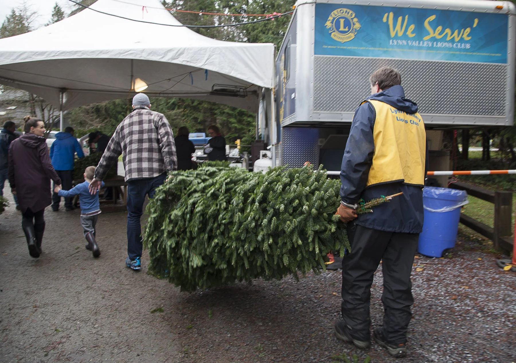 TREE LOT_Lion pov behind carrying tree_lvl trailer.jpg