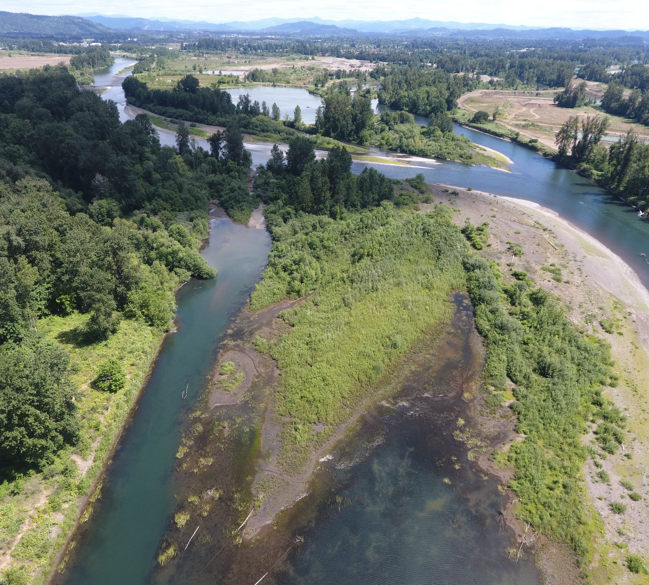 McKenzie River Trust Volunteer Day