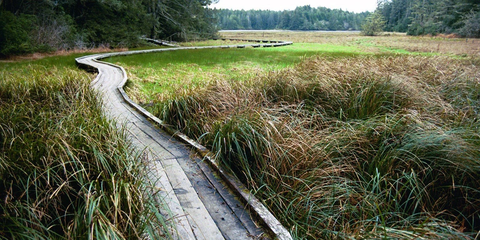 Aron Faegre Architect