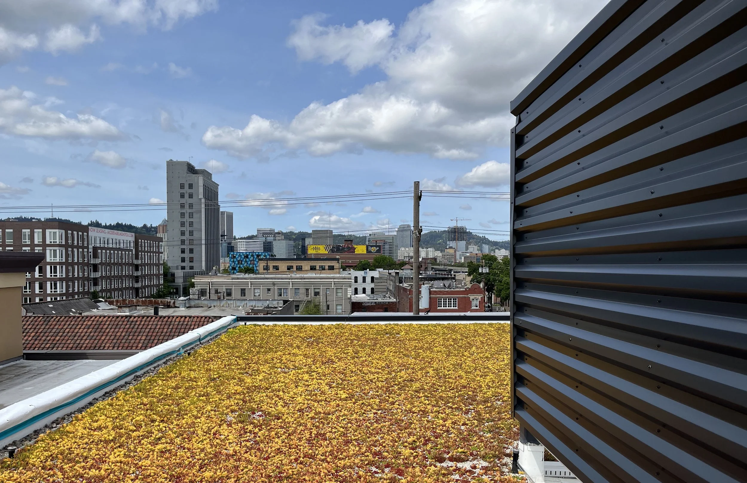 Mike Meade - Architect LLC