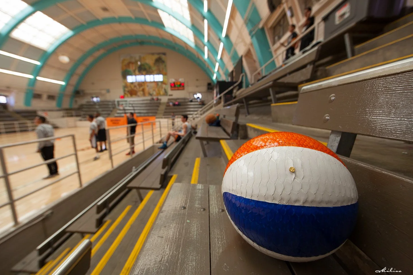 ©JohnMilios20140426_8356 copy.jpg