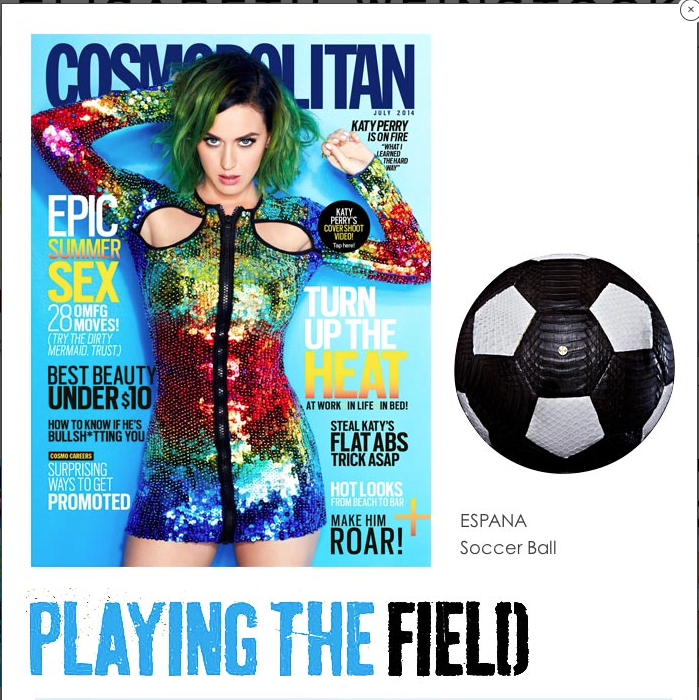 Screen Shot 2017-04-11 at 7.31.23 PM copy.png