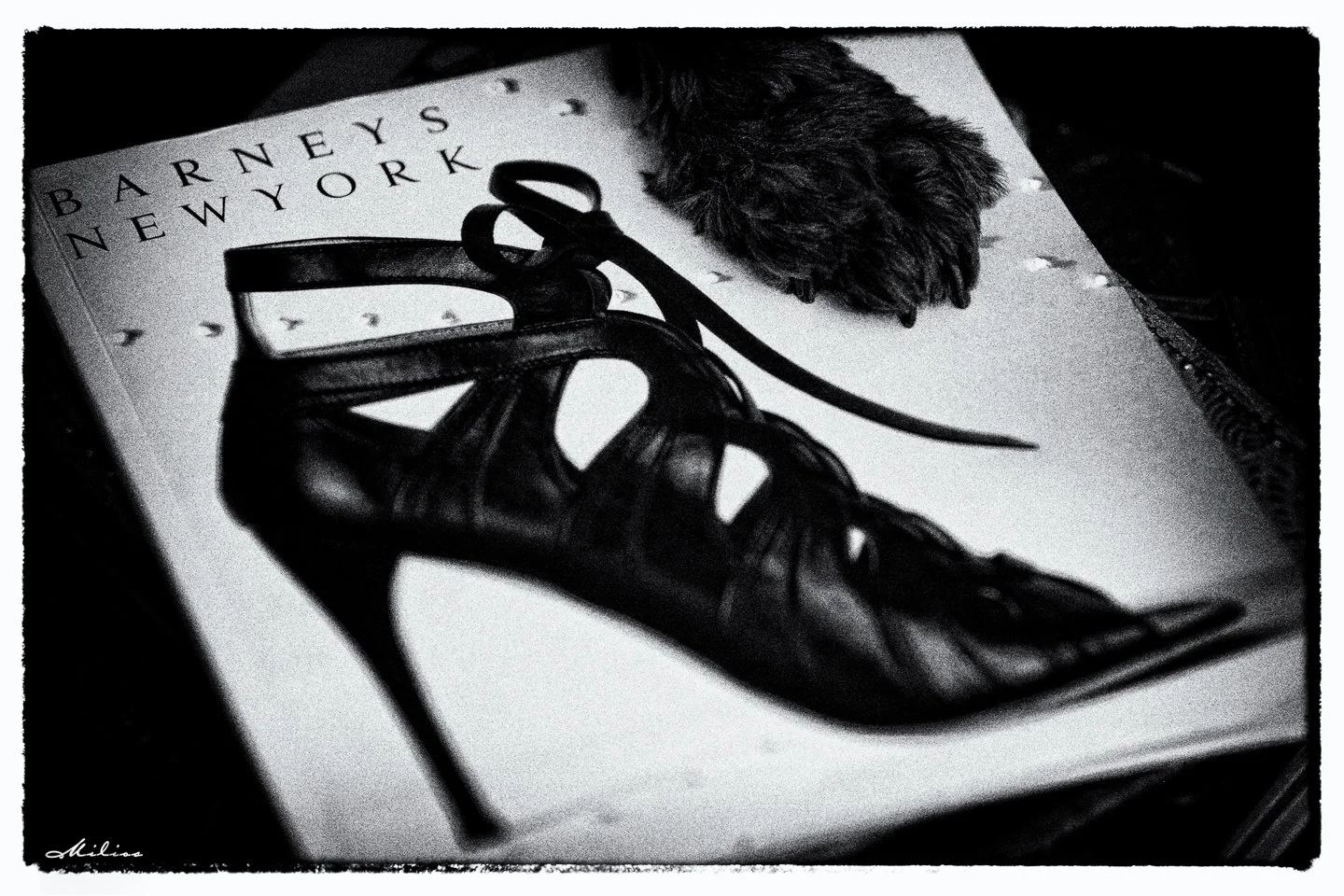 ©JohnMilios_6691-Edit copy.jpg