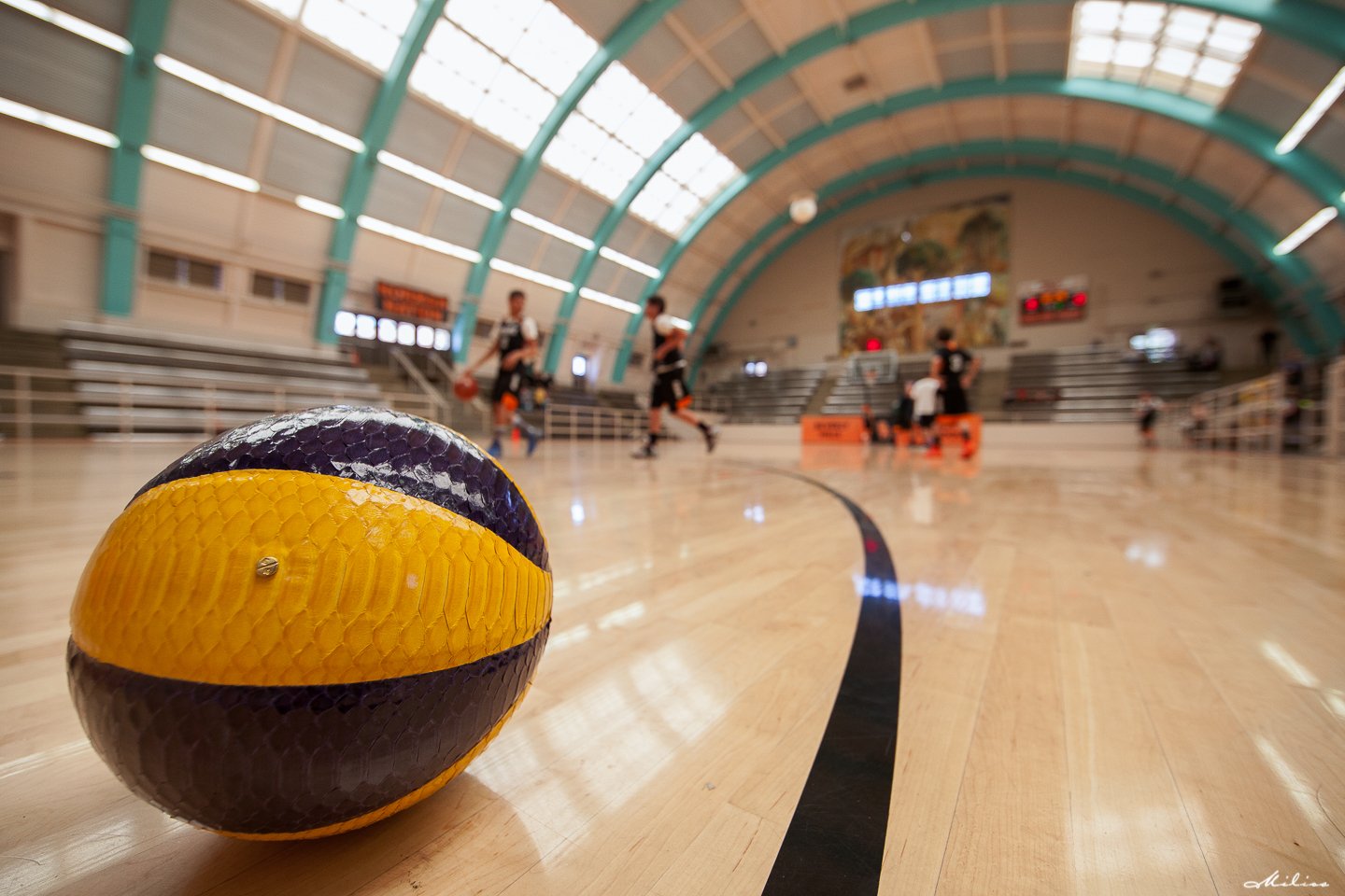 ©JohnMilios20140426_8413-Edit-Edit copy.jpg