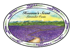 Heaven's Scent Lavender Oasis