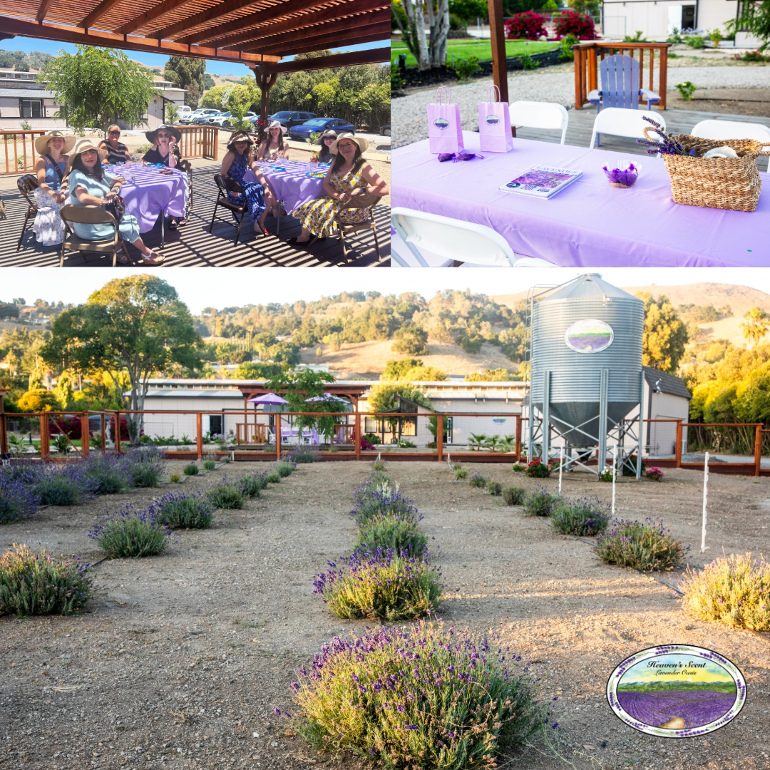 Garden Brunch/Lunch Social