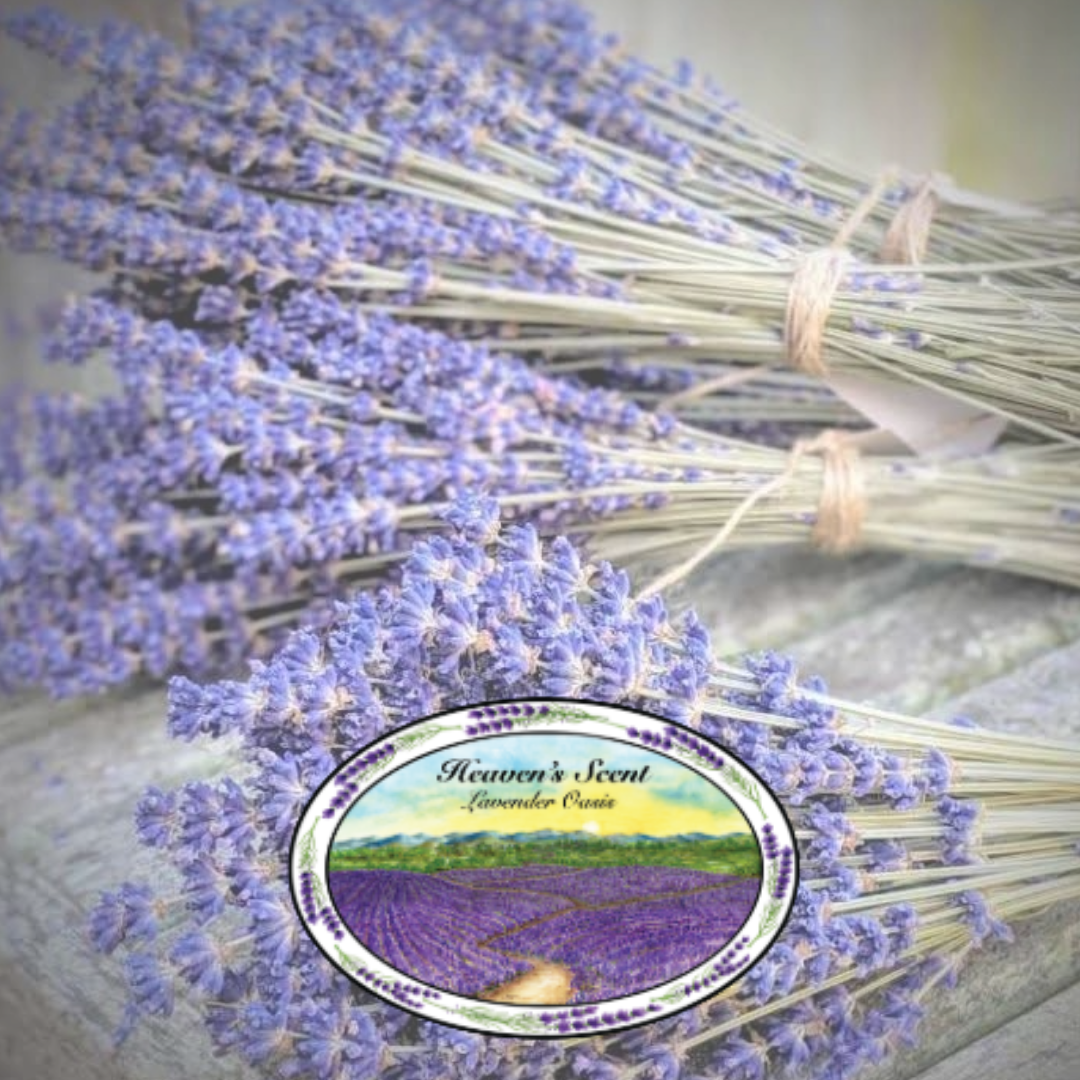 Pick-Your-Own Lavender