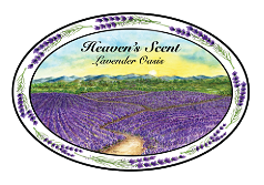 Heaven's Scent Lavender Oasis